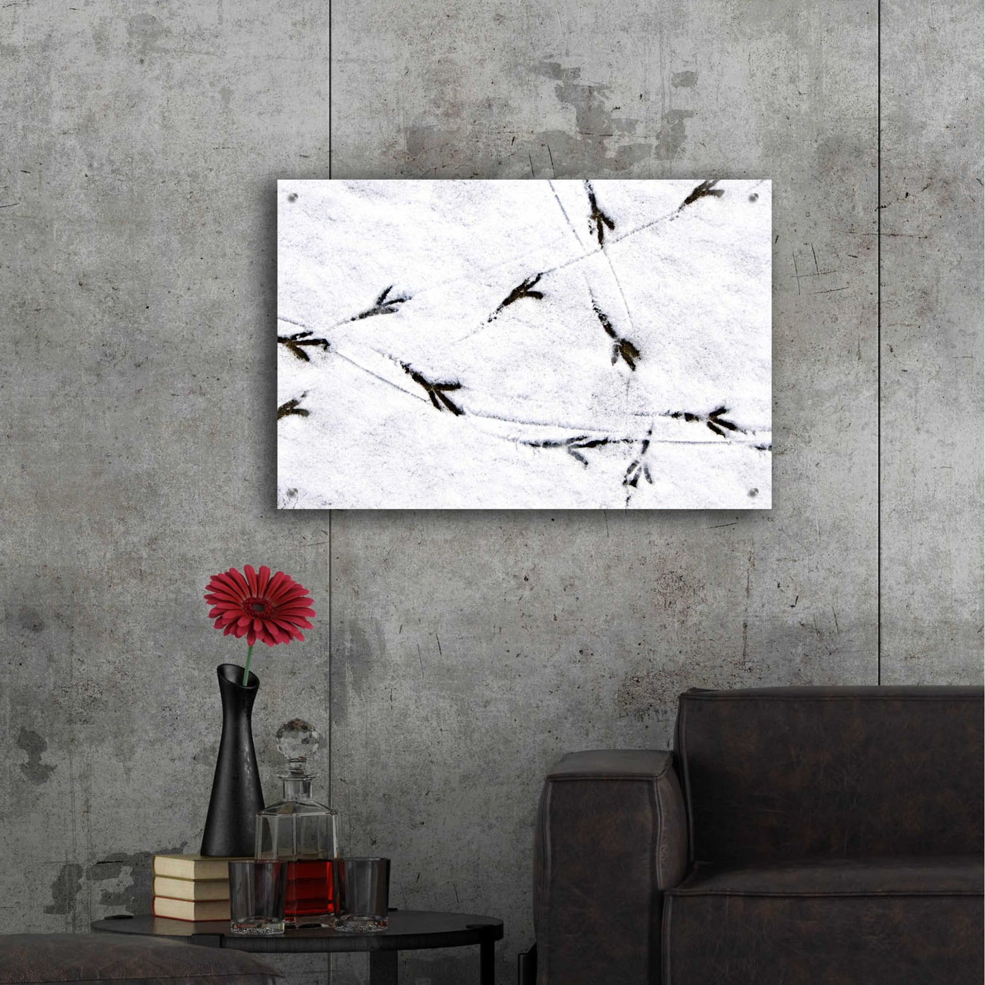 Epic Art 'Bird's footprints' by Epic Portfolio, Acrylic Glass Wall Art,36x24