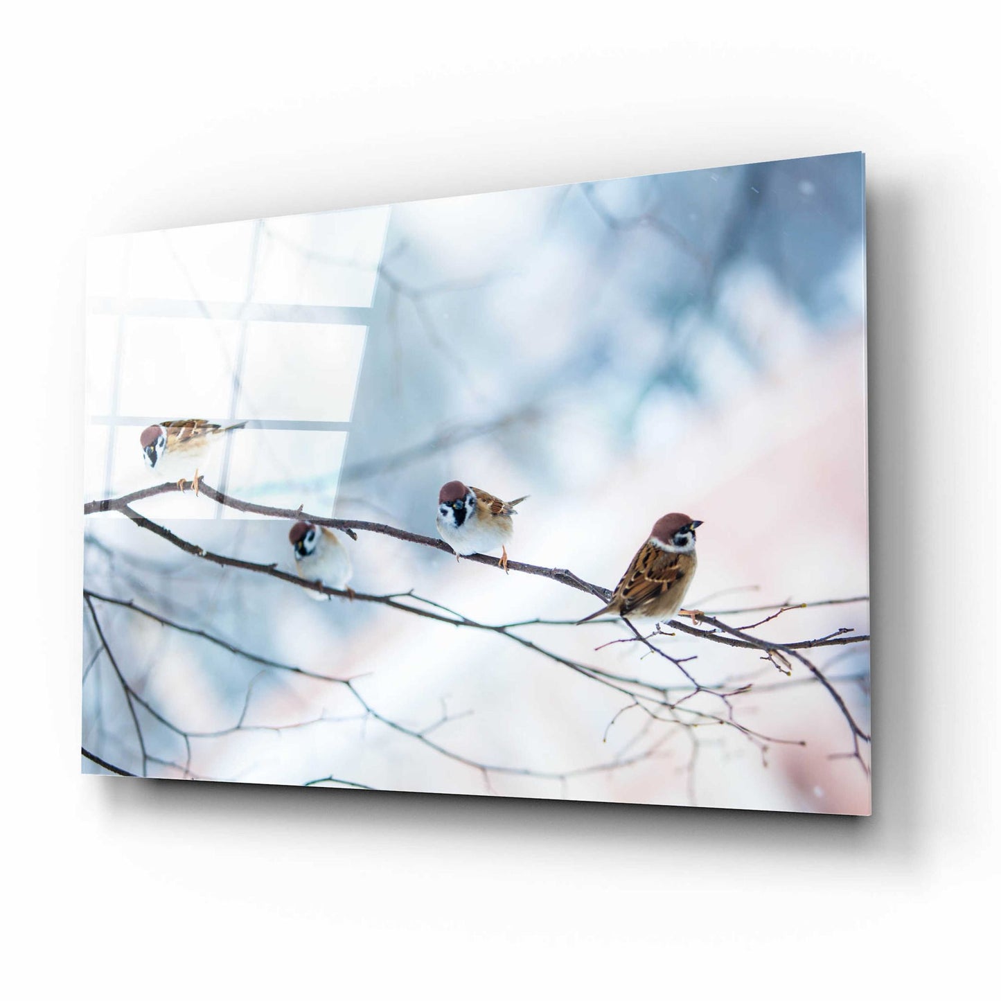 Epic Art 'Bird Feeders Treehouse' by Epic Portfolio, Acrylic Glass Wall Art,16x12