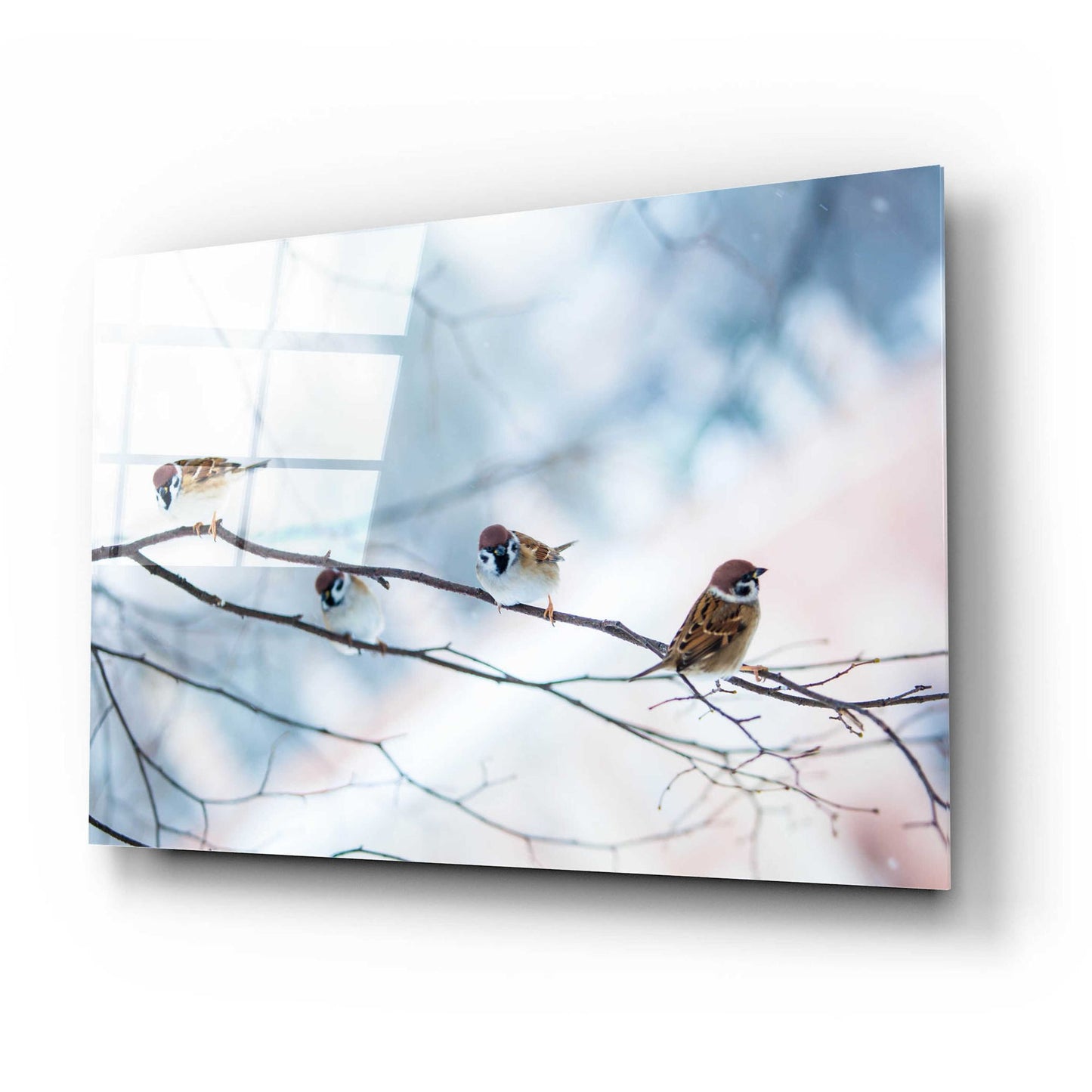 Epic Art 'Bird Feeders Treehouse' by Epic Portfolio, Acrylic Glass Wall Art,24x16