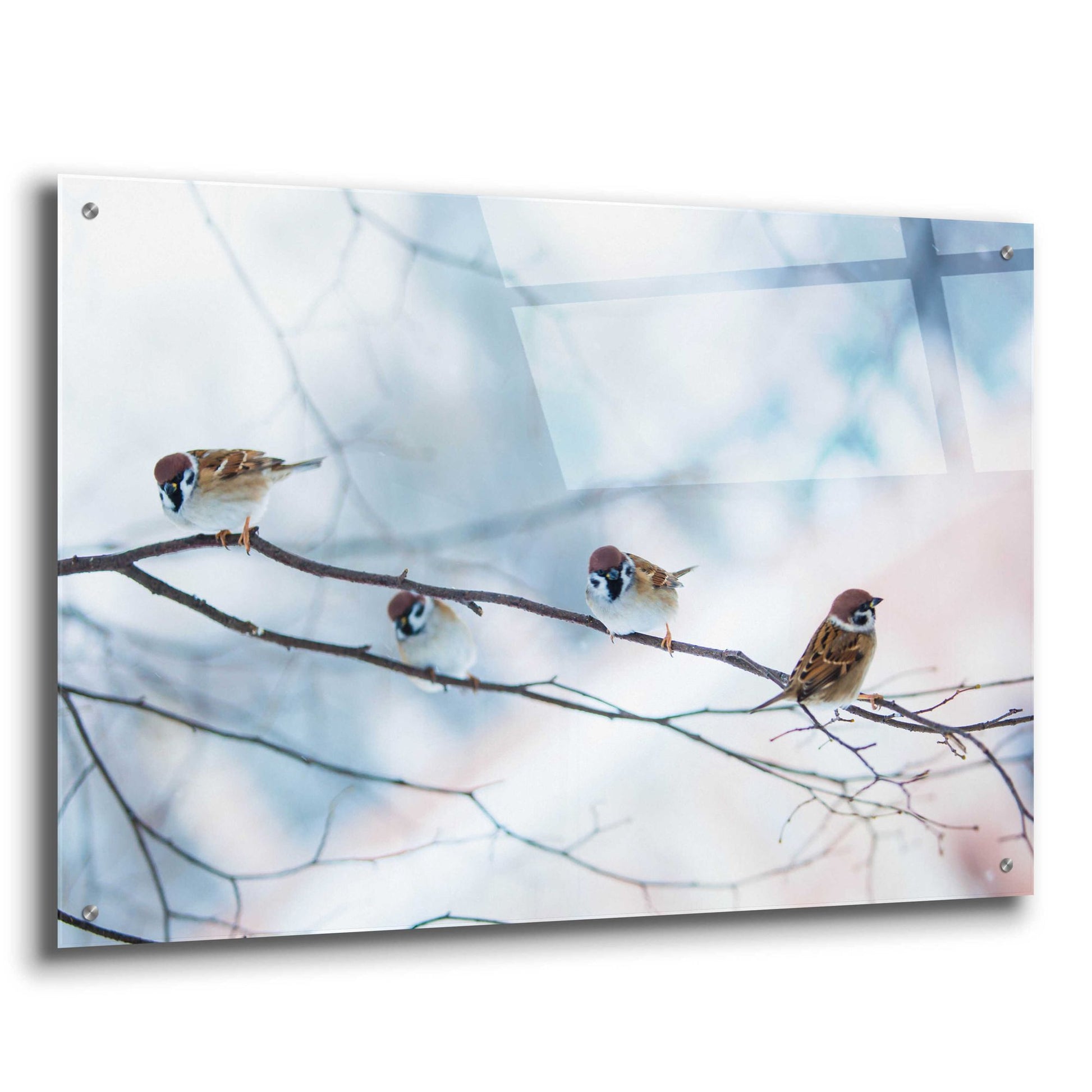 Epic Art 'Bird Feeders Treehouse' by Epic Portfolio, Acrylic Glass Wall Art,36x24