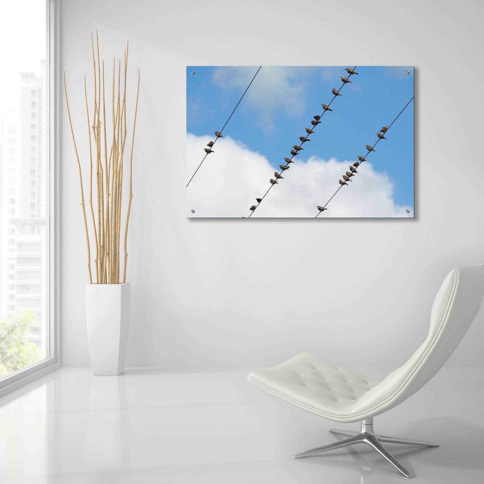 Epic Art 'Humanwatching' by Epic Portfolio, Acrylic Glass Wall Art,36x24