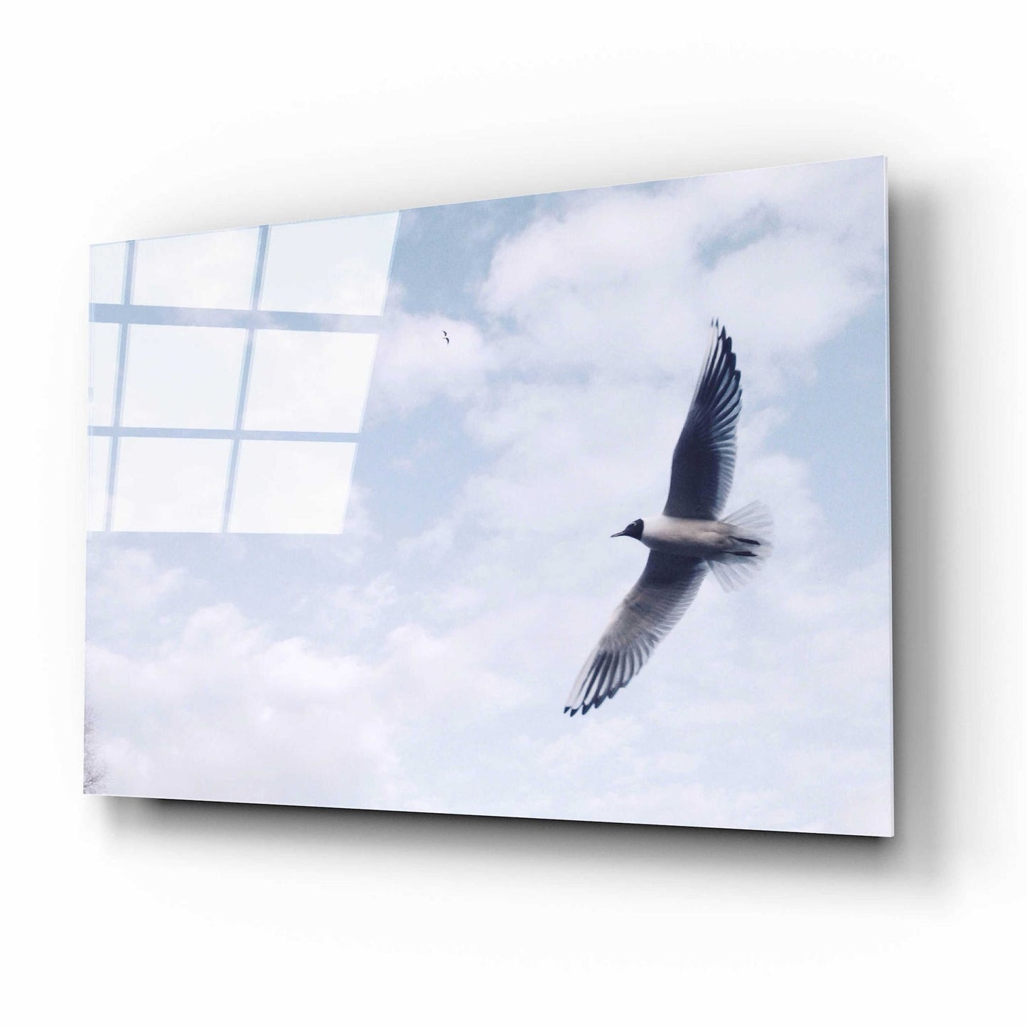 Epic Art 'Sky Cruising' by Epic Portfolio, Acrylic Glass Wall Art,16x12
