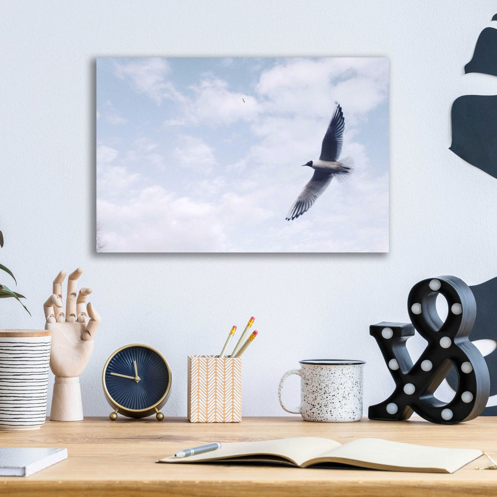 Epic Art 'Sky Cruising' by Epic Portfolio, Acrylic Glass Wall Art,16x12