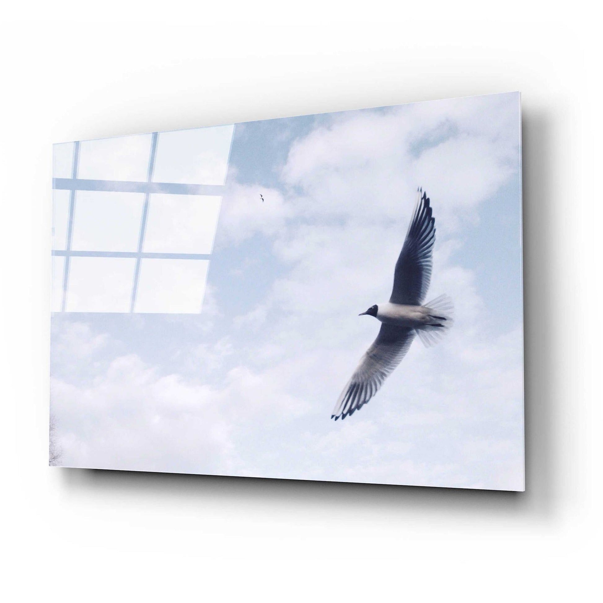 Epic Art 'Sky Cruising' by Epic Portfolio, Acrylic Glass Wall Art,24x16