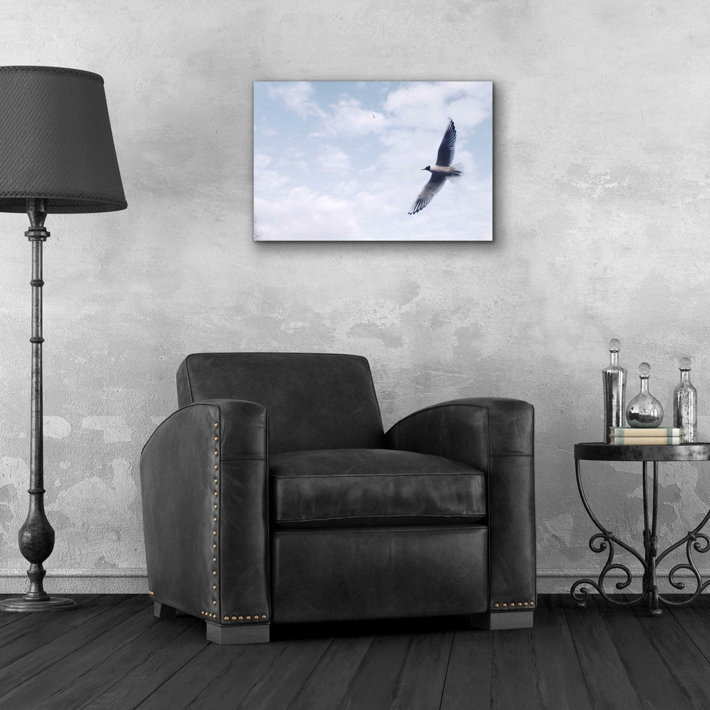 Epic Art 'Sky Cruising' by Epic Portfolio, Acrylic Glass Wall Art,24x16