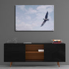 Epic Art 'Sky Cruising' by Epic Portfolio, Acrylic Glass Wall Art,36x24