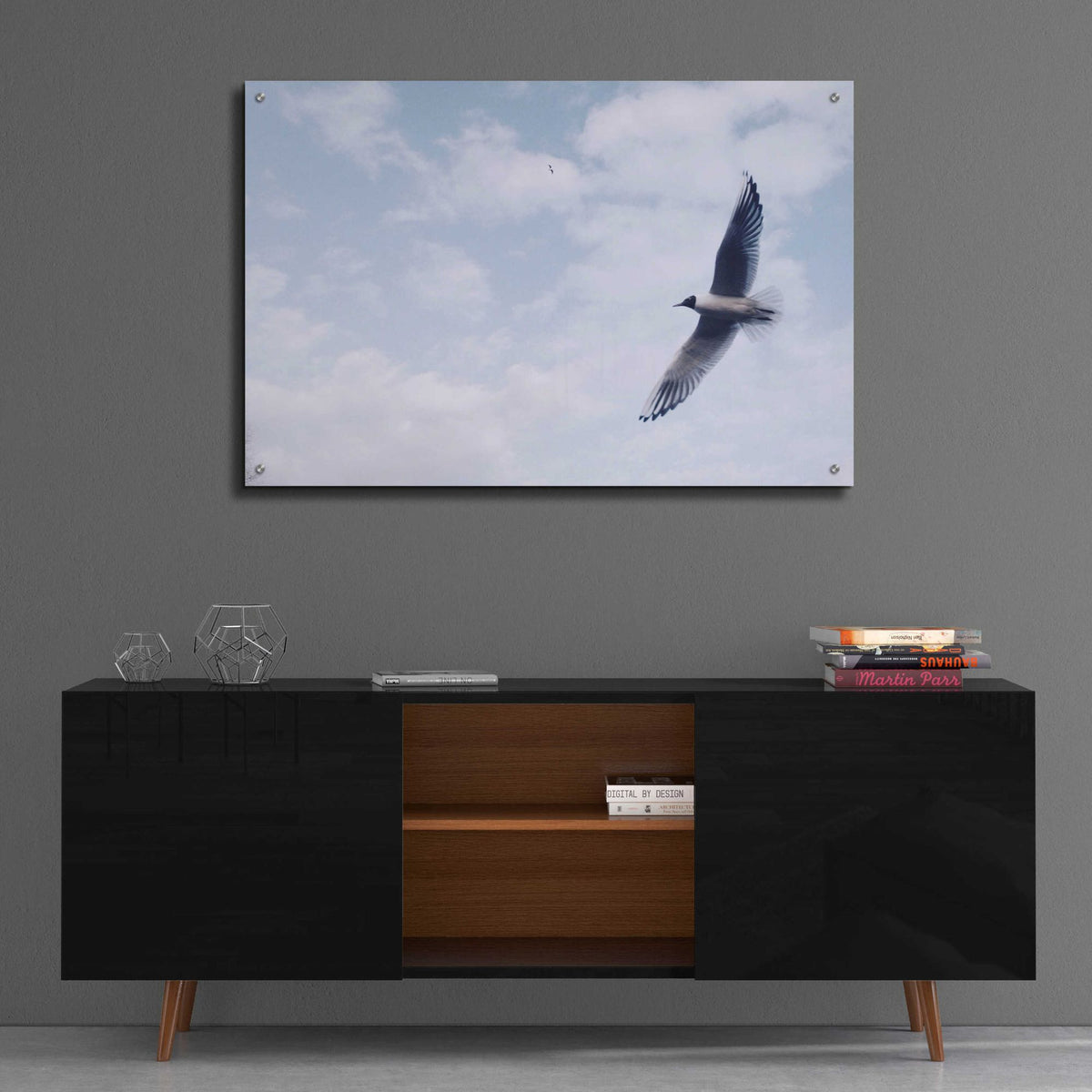 Epic Art 'Sky Cruising' by Epic Portfolio, Acrylic Glass Wall Art,36x24