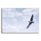 Epic Art 'Sky Cruising' by Epic Portfolio, Acrylic Glass Wall Art