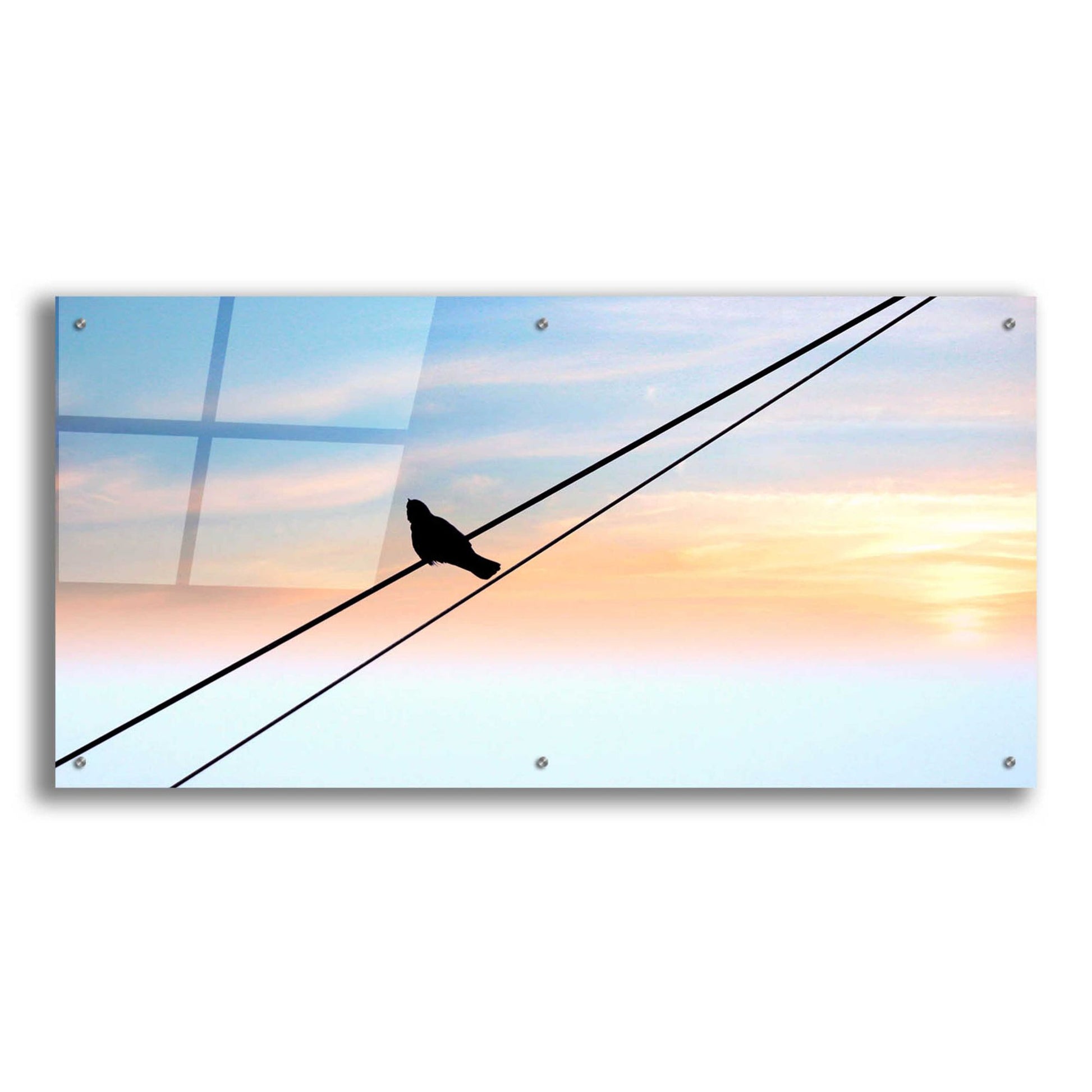 Epic Art 'Sunset Watching' by Epic Portfolio, Acrylic Glass Wall Art,48x24