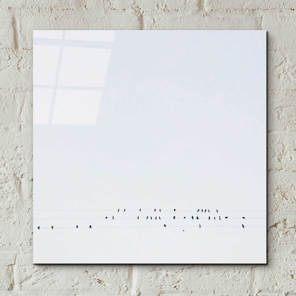 Epic Art 'Winter Sky' by Epic Portfolio, Acrylic Glass Wall Art,12x12