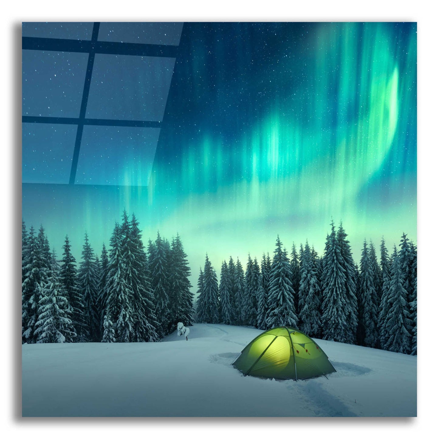 Epic Art 'Northern Lights In Winter Forest 1' by Epic Portfolio, Acrylic Glass Wall Art,12x12