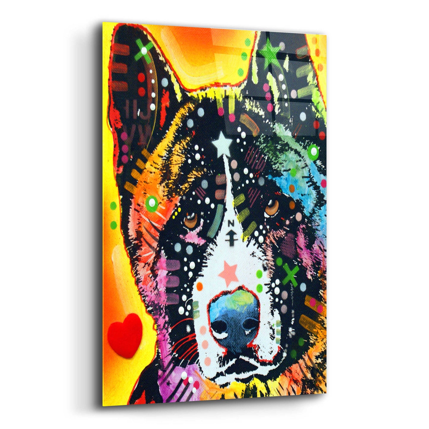 Epic Art 'Akita 1' by Dean Russo, Acrylic Glass Wall Art,12x16