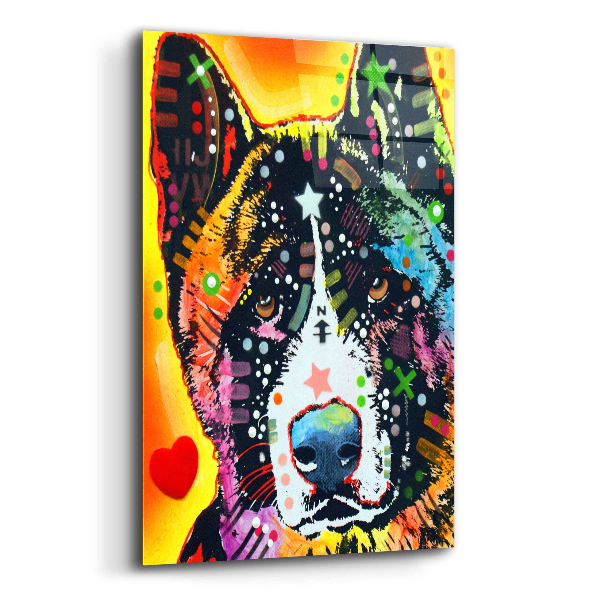 Epic Art 'Akita 1' by Dean Russo, Acrylic Glass Wall Art,12x16