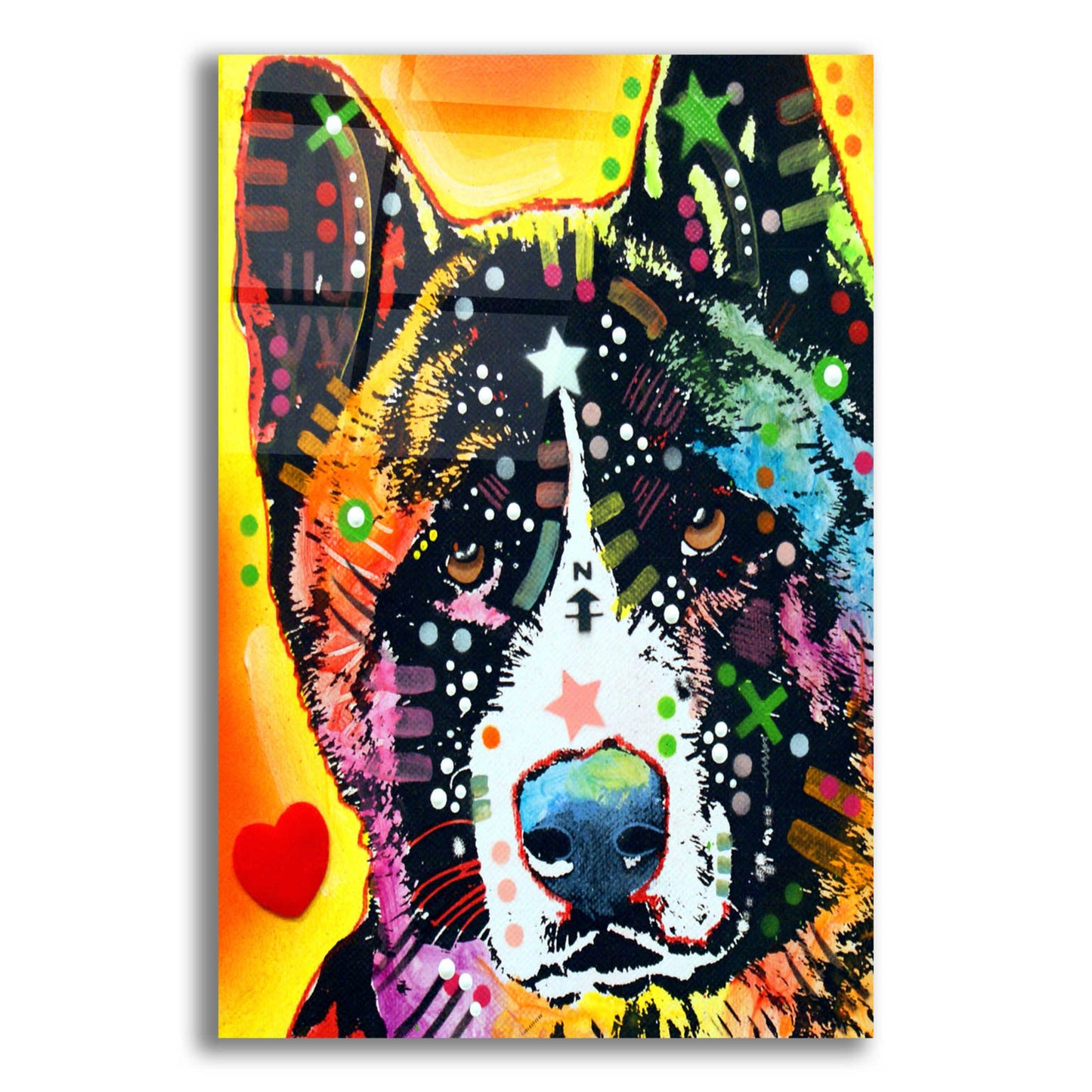 Epic Art 'Akita 1' by Dean Russo, Acrylic Glass Wall Art,12x16