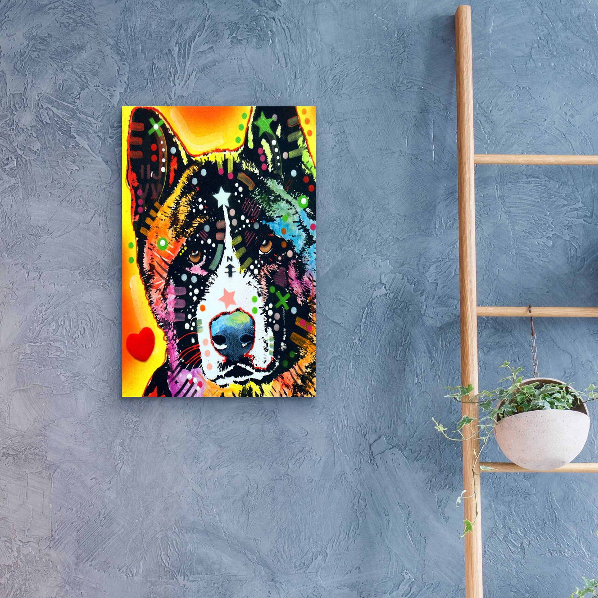 Epic Art 'Akita 1' by Dean Russo, Acrylic Glass Wall Art,16x24