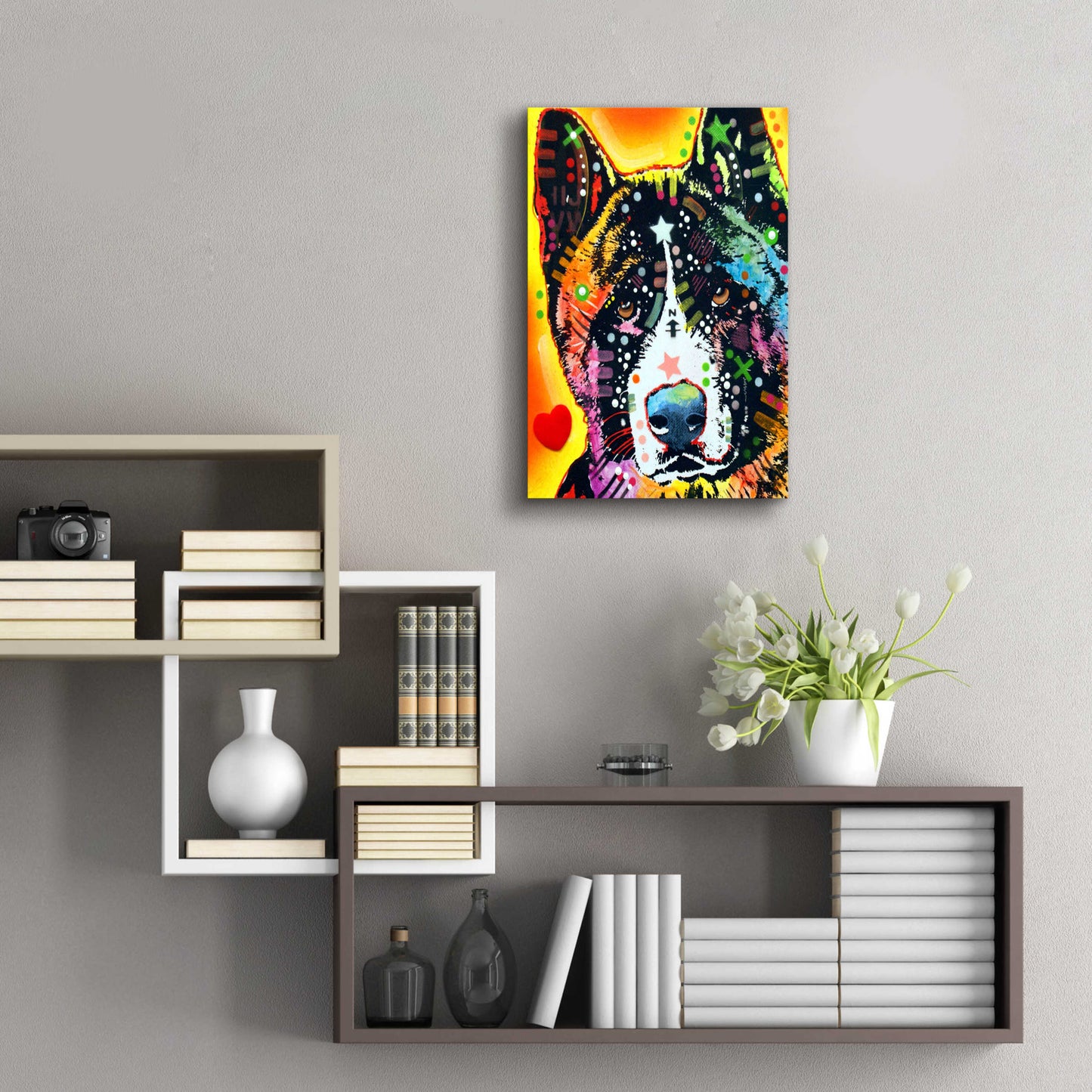 Epic Art 'Akita 1' by Dean Russo, Acrylic Glass Wall Art,16x24