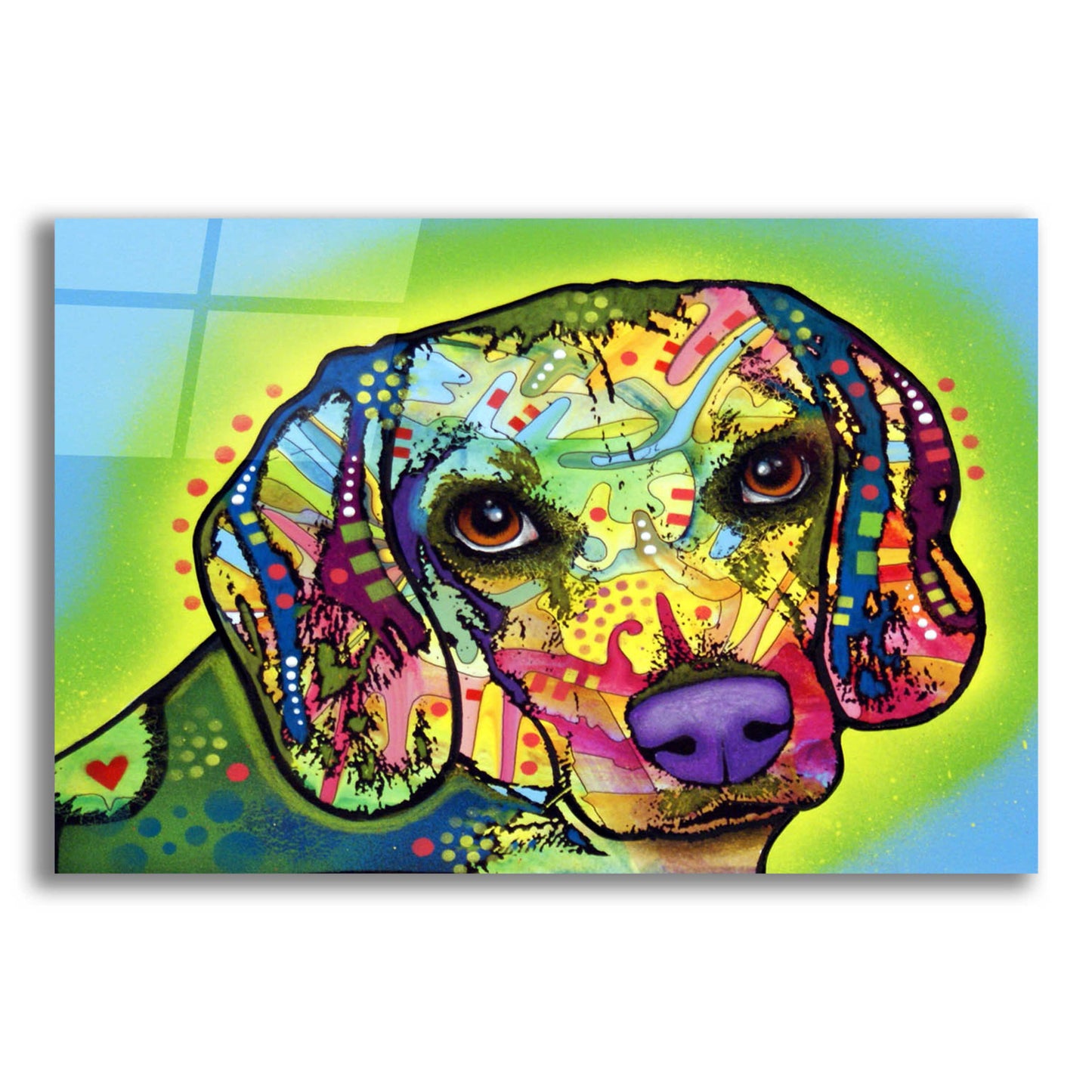 Epic Art 'Beagle' by Dean Russo, Acrylic Glass Wall Art,16x12