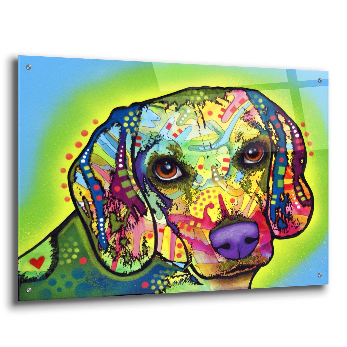 Epic Art 'Beagle' by Dean Russo, Acrylic Glass Wall Art,36x24