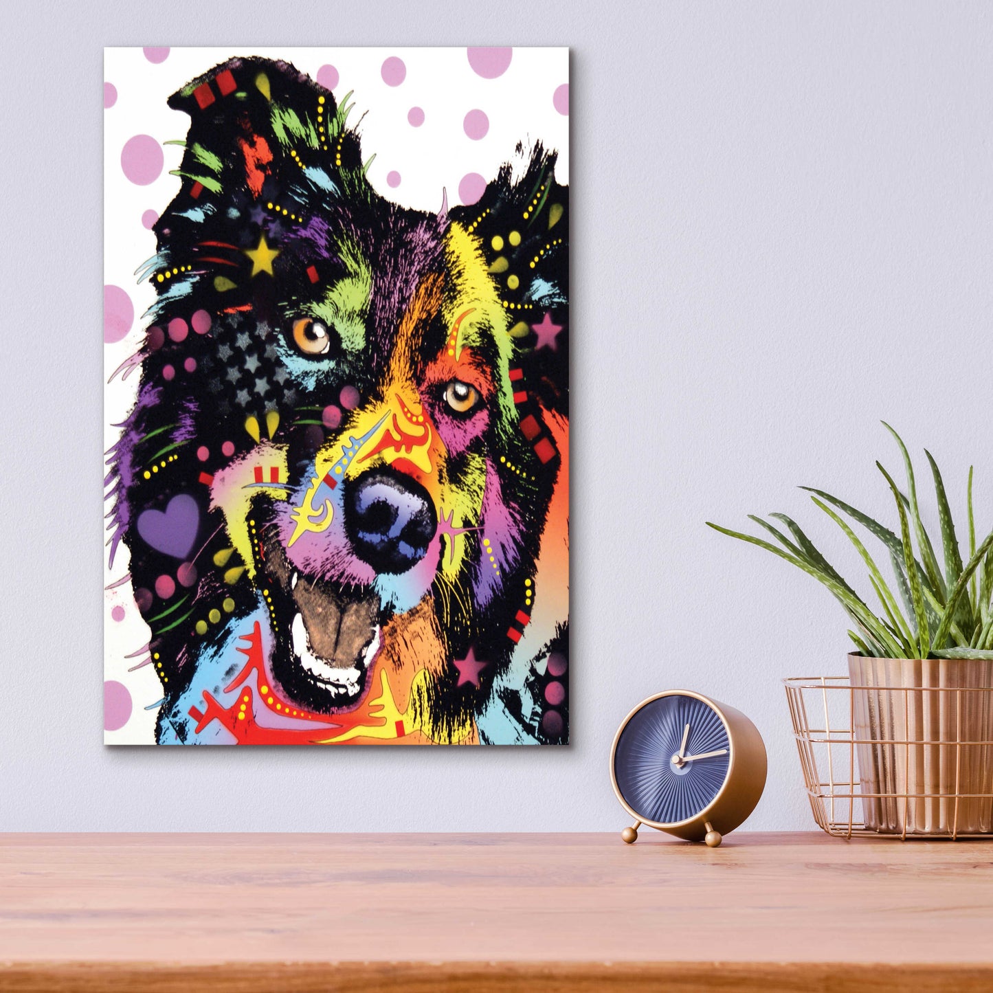 Epic Art 'Border Collie 1' by Dean Russo, Acrylic Glass Wall Art,12x16