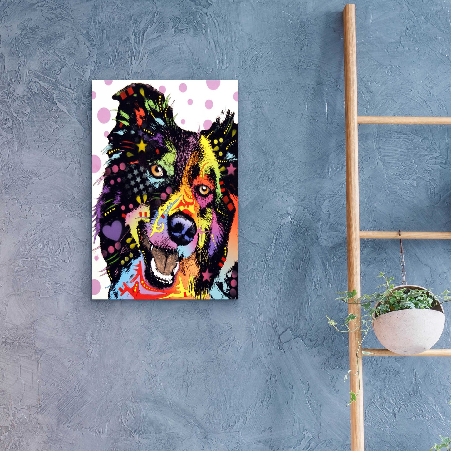 Epic Art 'Border Collie 1' by Dean Russo, Acrylic Glass Wall Art,16x24