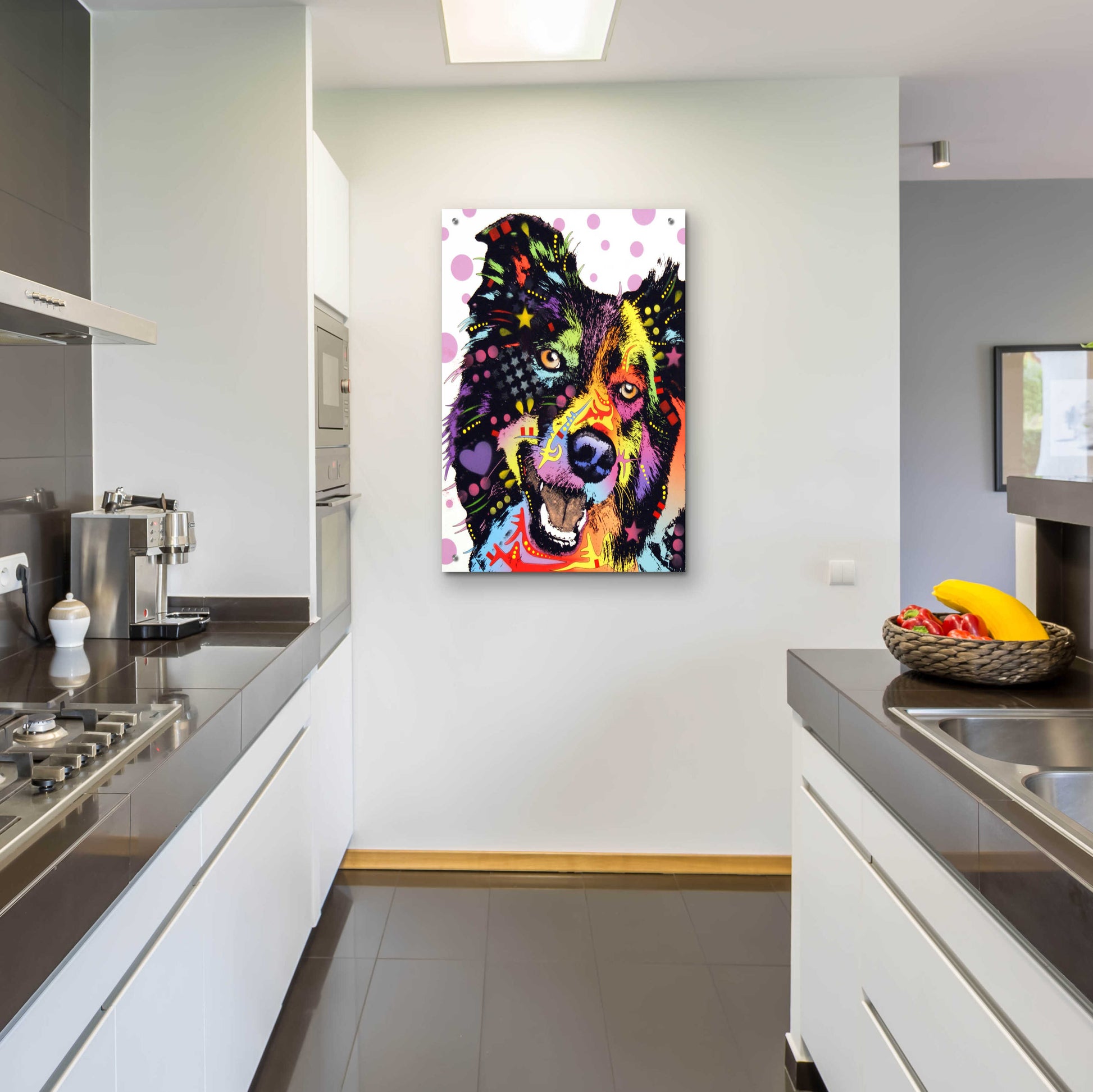 Epic Art 'Border Collie 1' by Dean Russo, Acrylic Glass Wall Art,24x36