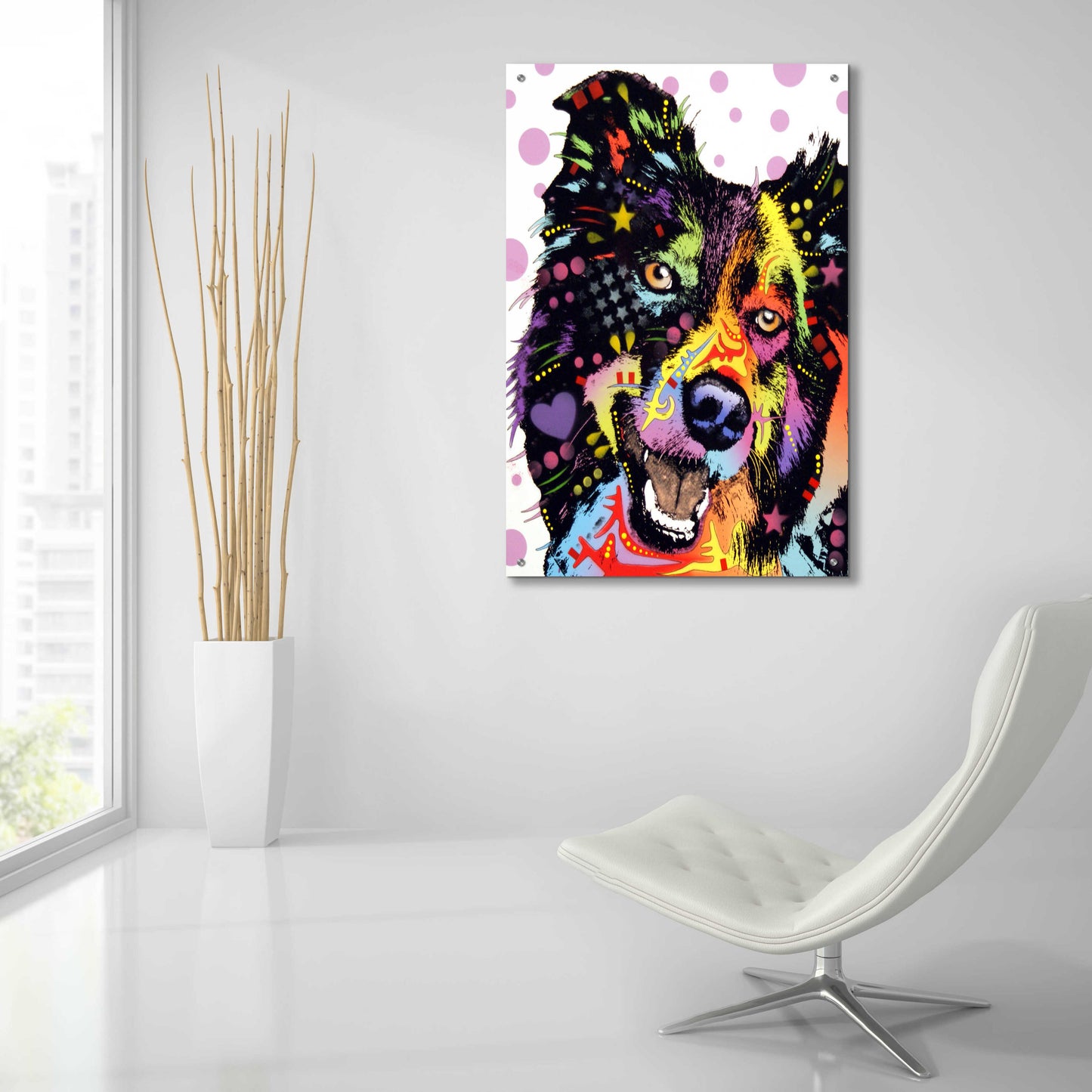 Epic Art 'Border Collie 1' by Dean Russo, Acrylic Glass Wall Art,24x36