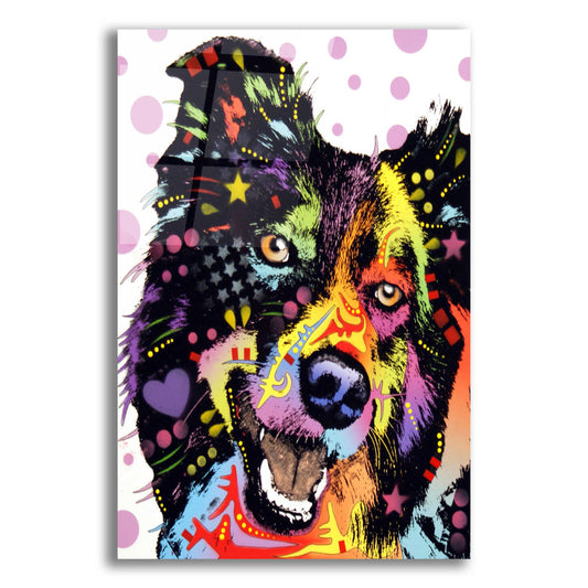 Epic Art 'Border Collie 1' by Dean Russo, Acrylic Glass Wall Art