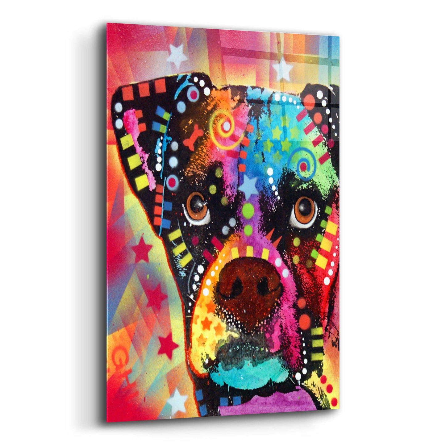 Epic Art 'Boxer Cubism' by Dean Russo, Acrylic Glass Wall Art,12x16