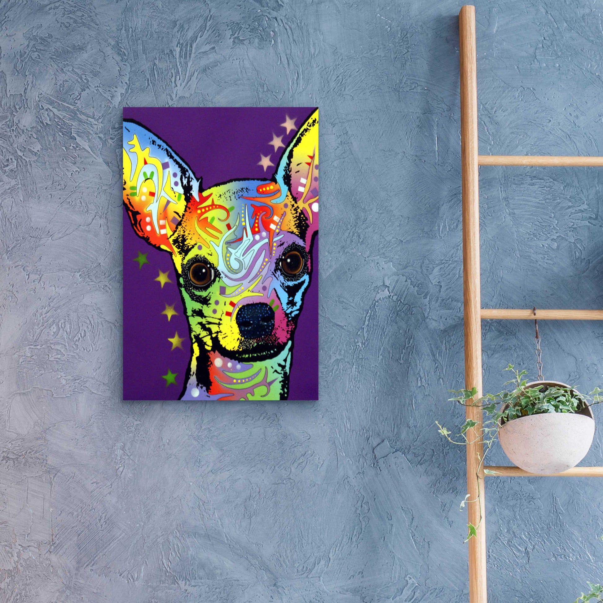 Epic Art 'Chihuahua Ii' by Dean Russo, Acrylic Glass Wall Art,16x24