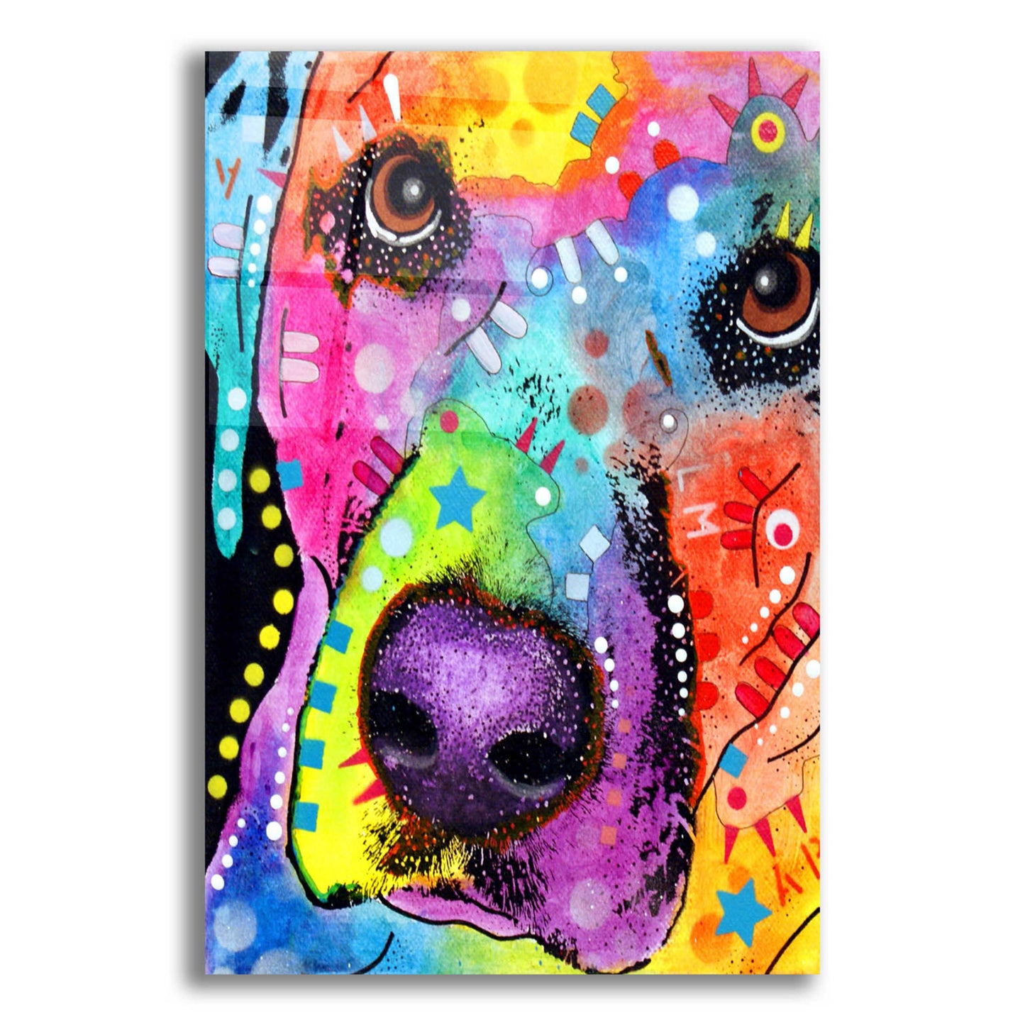 Epic Art 'Closeup Labrador' by Dean Russo, Acrylic Glass Wall Art,12x16