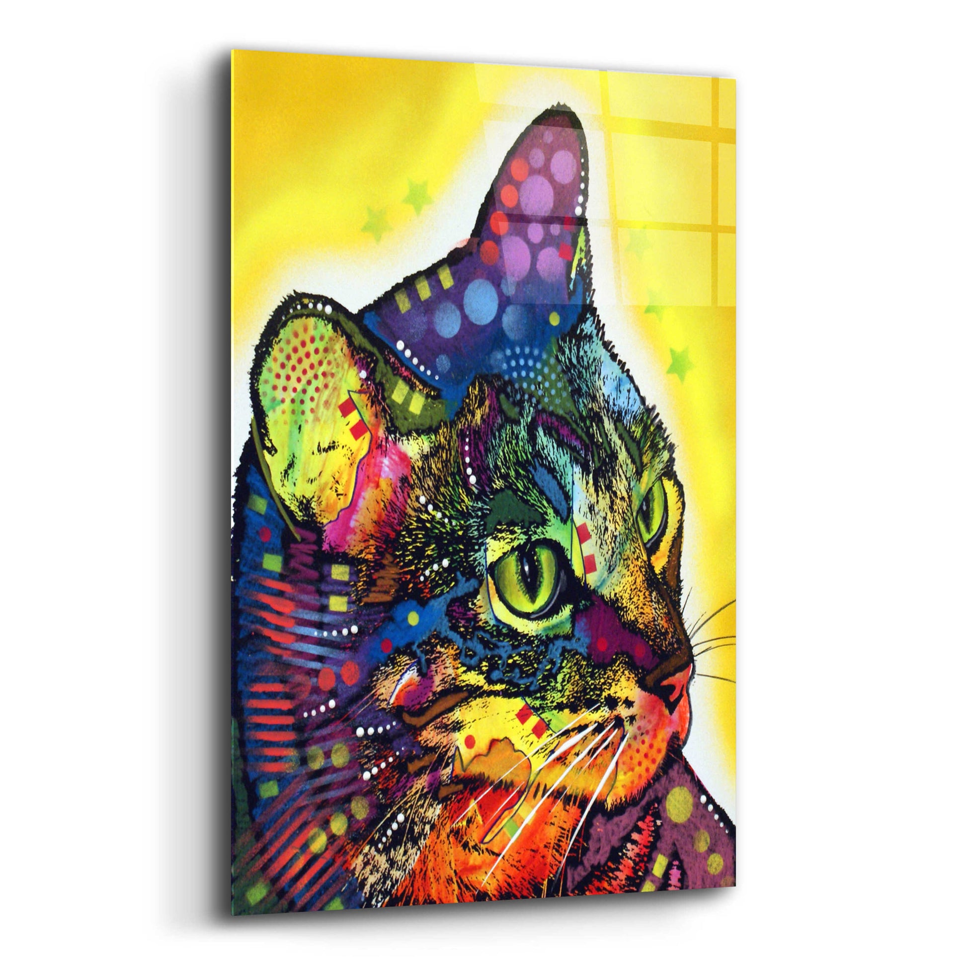Epic Art 'Confident Cat' by Dean Russo, Acrylic Glass Wall Art,12x16