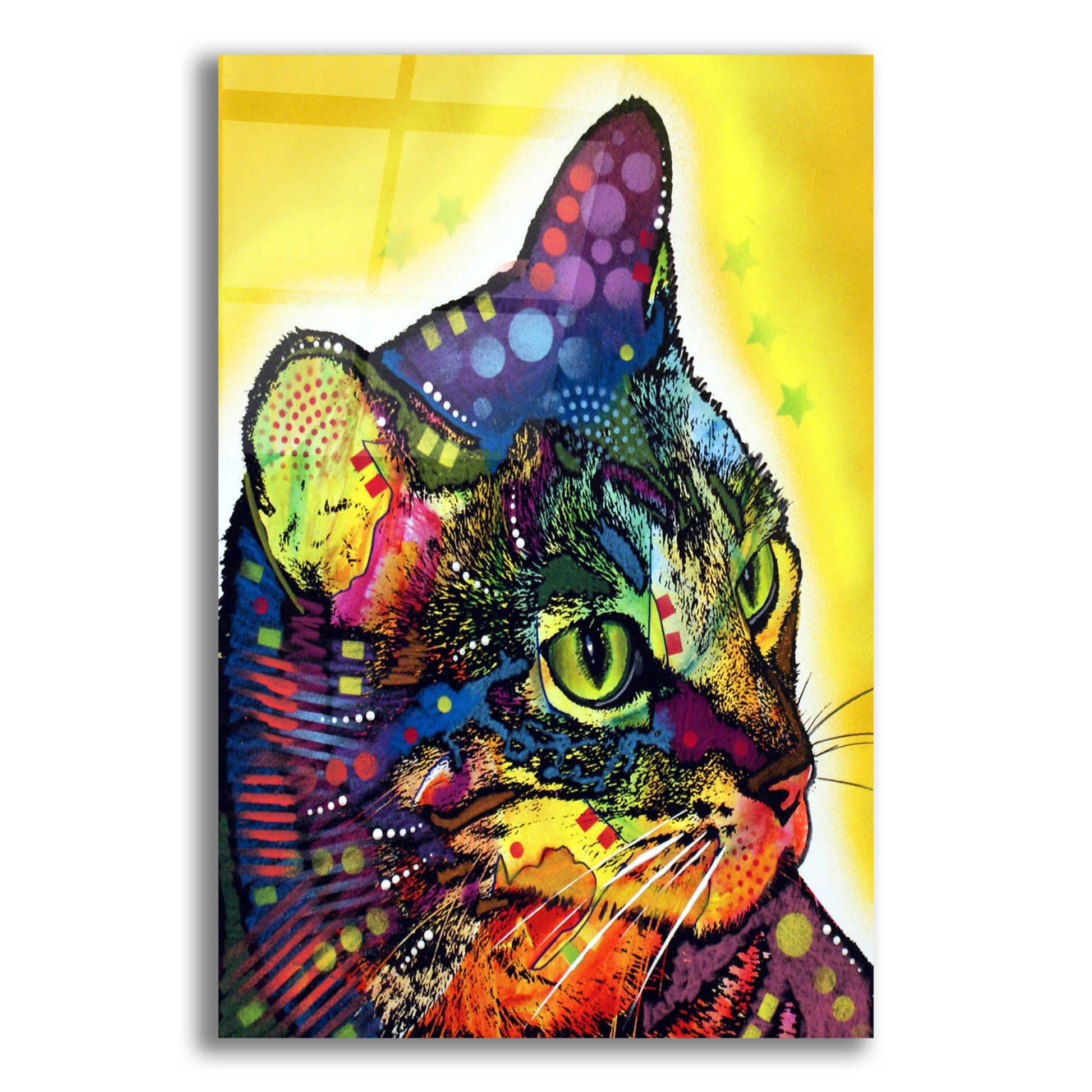 Epic Art 'Confident Cat' by Dean Russo, Acrylic Glass Wall Art,12x16