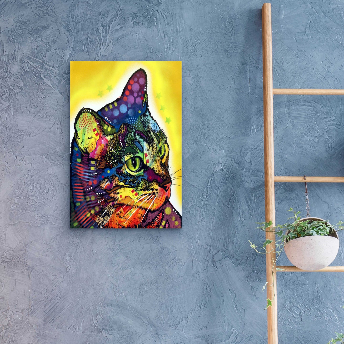 Epic Art 'Confident Cat' by Dean Russo, Acrylic Glass Wall Art,16x24