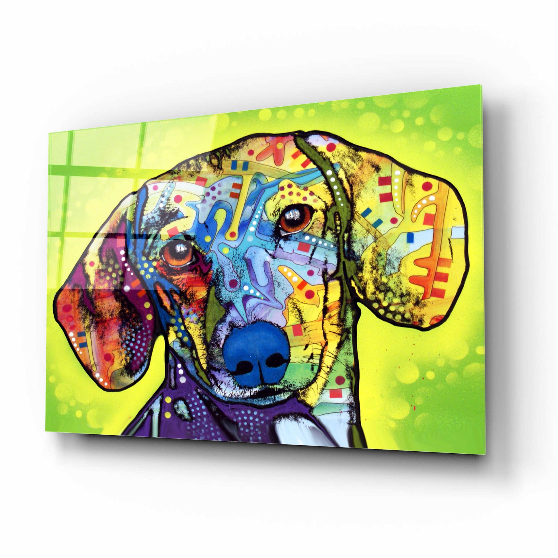 Epic Art 'Dachshund' by Dean Russo, Acrylic Glass Wall Art,16x12