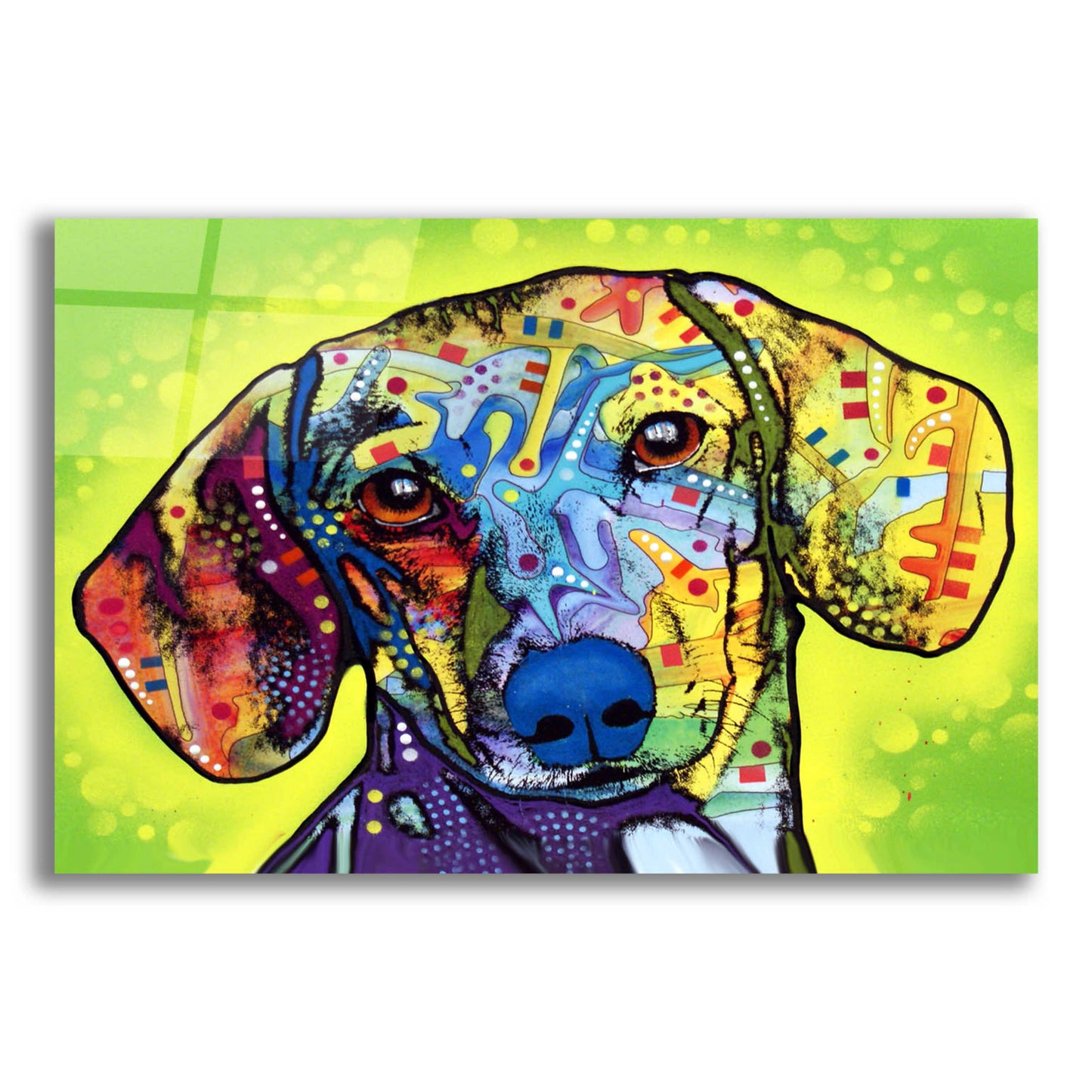 Epic Art 'Dachshund' by Dean Russo, Acrylic Glass Wall Art,16x12