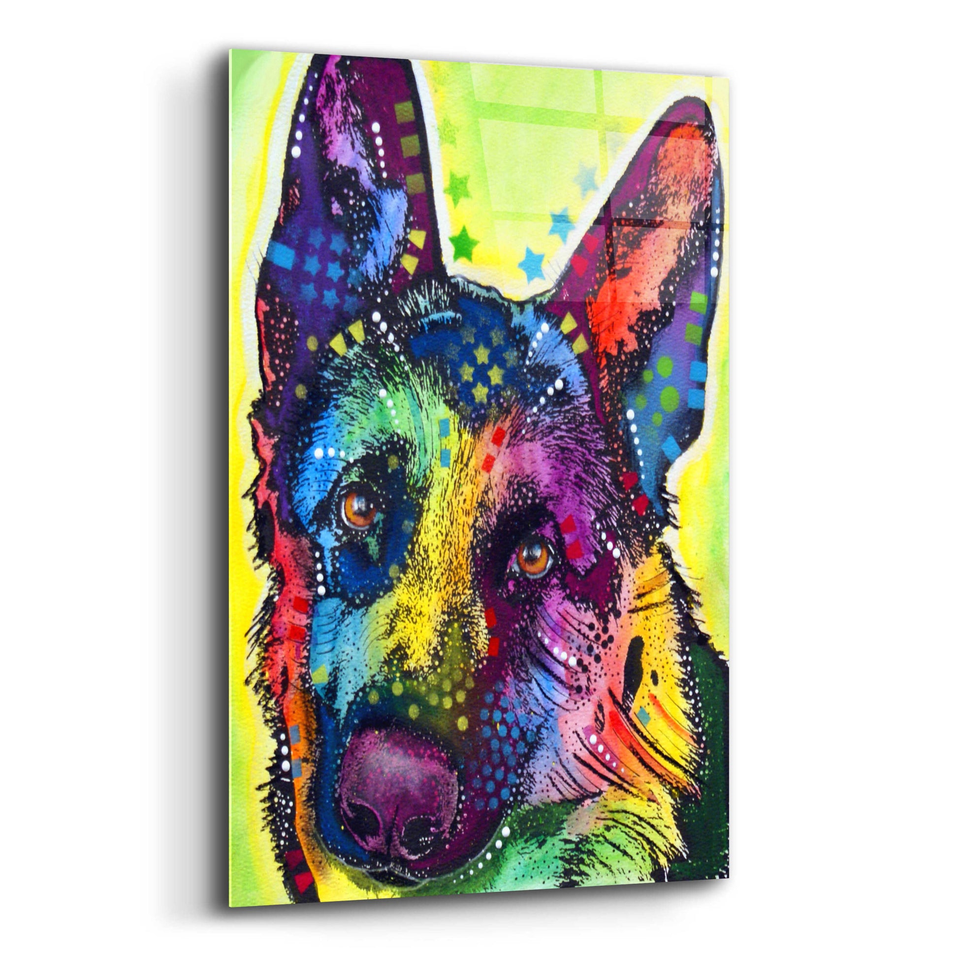 Epic Art 'German Shepherd 1' by Dean Russo, Acrylic Glass Wall Art,12x16