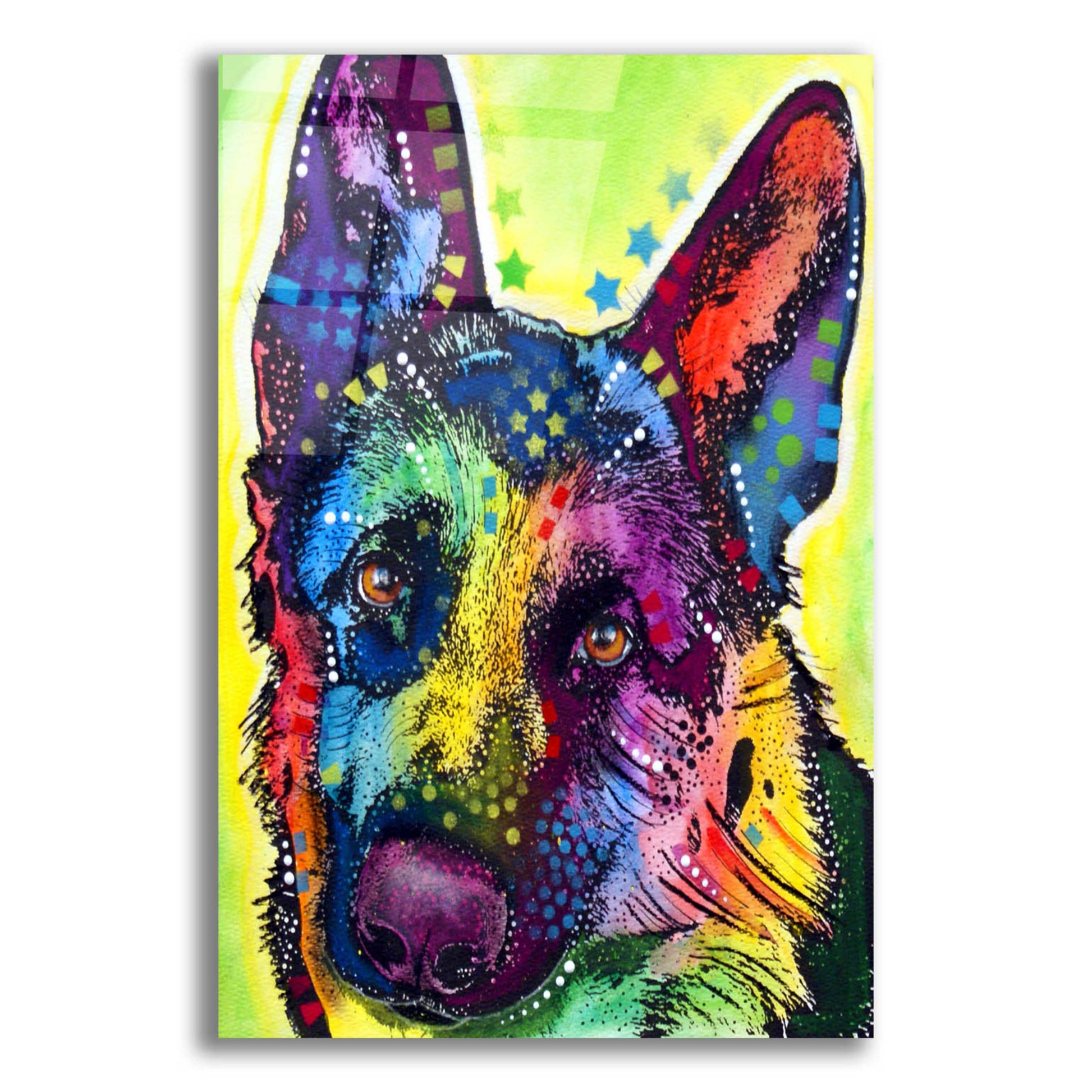 Epic Art 'German Shepherd 1' by Dean Russo, Acrylic Glass Wall Art,12x16