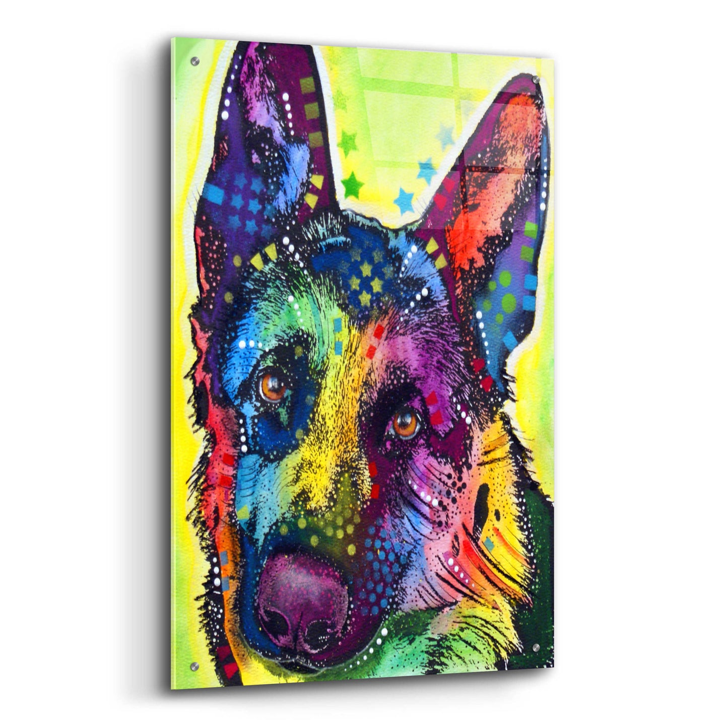 Epic Art 'German Shepherd 1' by Dean Russo, Acrylic Glass Wall Art,24x36