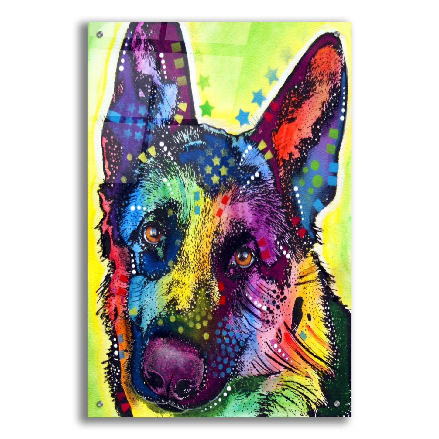 Epic Art 'German Shepherd 1' by Dean Russo, Acrylic Glass Wall Art,24x36