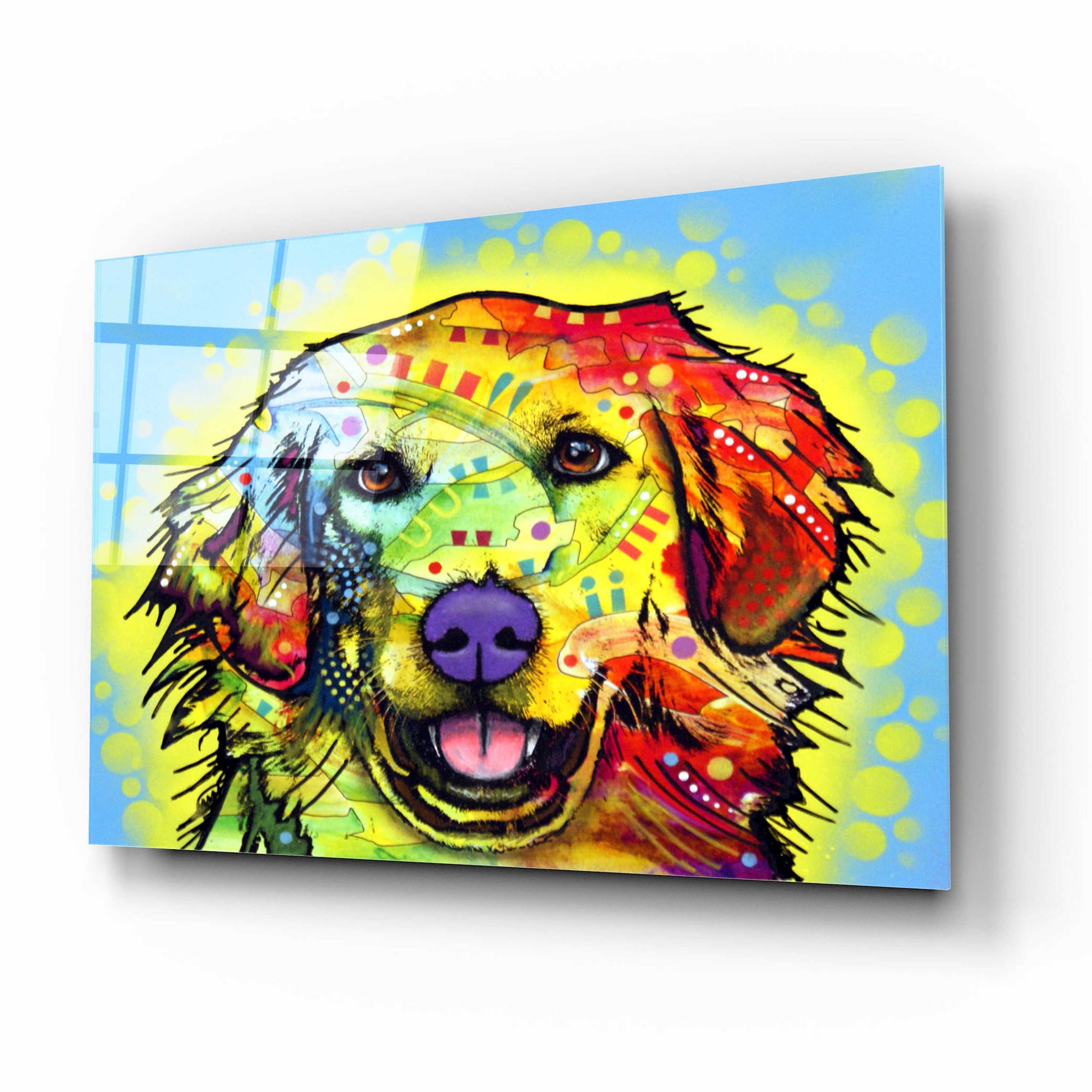 Epic Art 'Golden Retriever' by Dean Russo, Acrylic Glass Wall Art,16x12