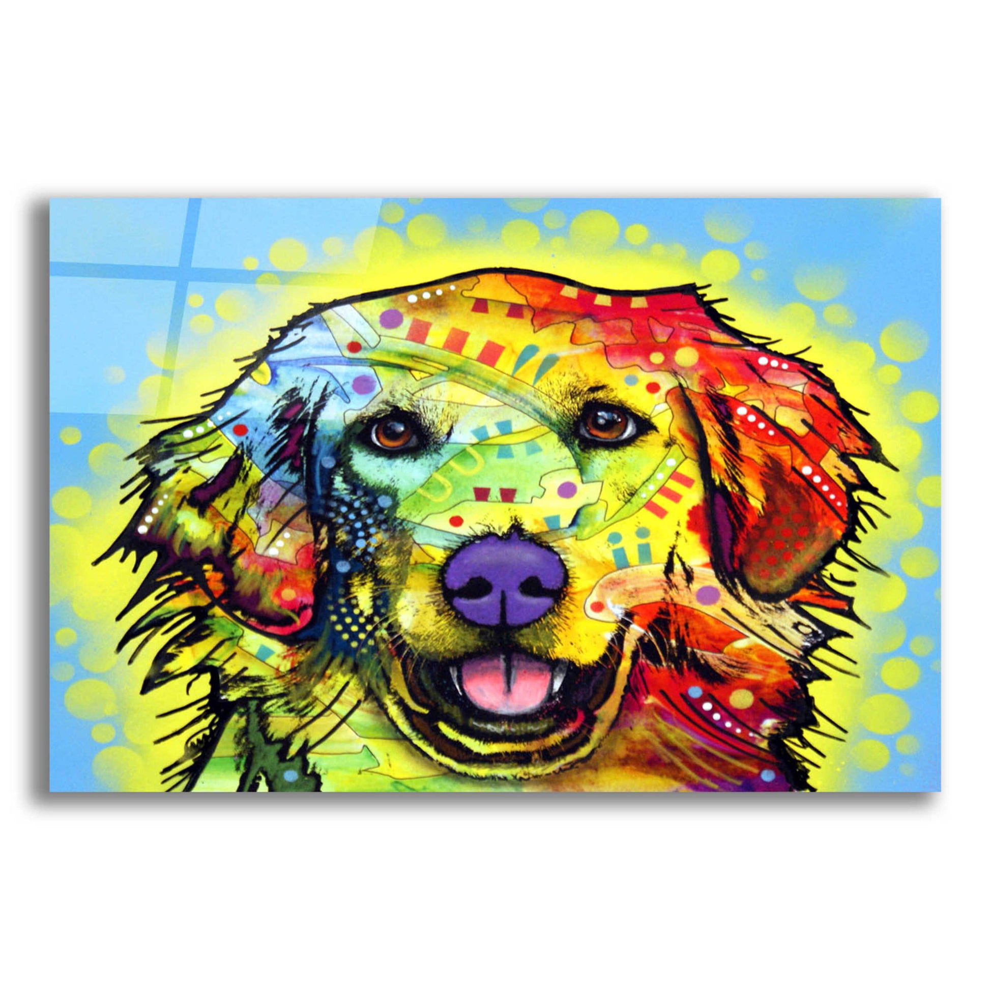 Epic Art 'Golden Retriever' by Dean Russo, Acrylic Glass Wall Art,16x12