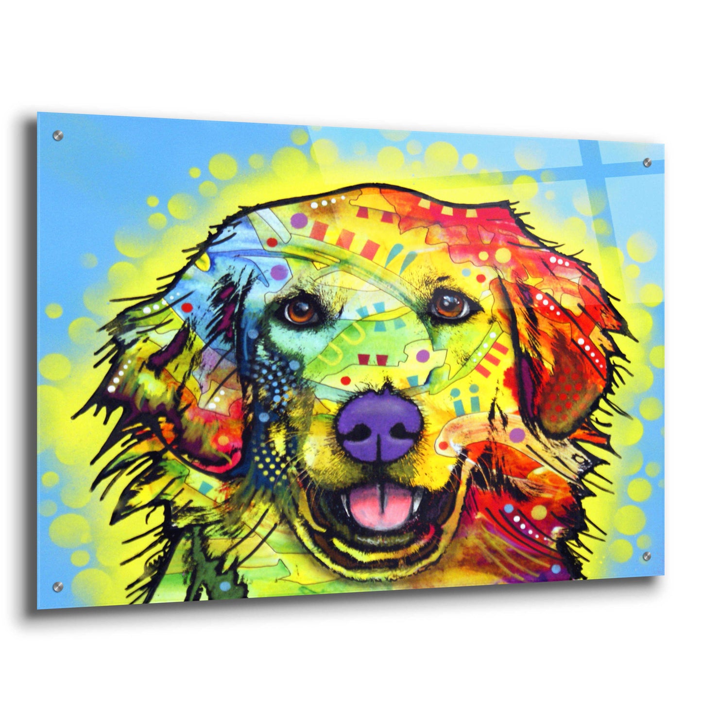 Epic Art 'Golden Retriever' by Dean Russo, Acrylic Glass Wall Art,36x24