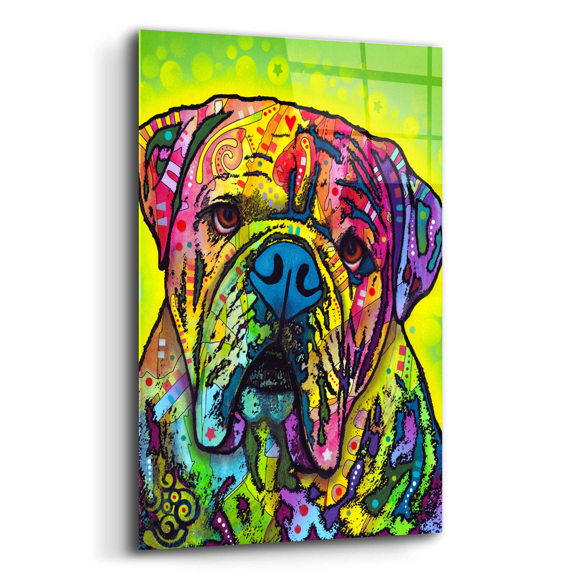 Epic Art 'Hey Bulldog' by Dean Russo, Acrylic Glass Wall Art,12x16