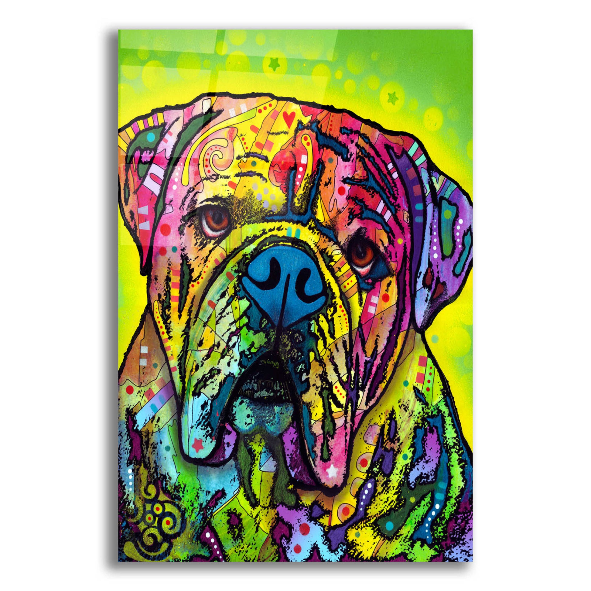 Epic Art 'Hey Bulldog' by Dean Russo, Acrylic Glass Wall Art,12x16