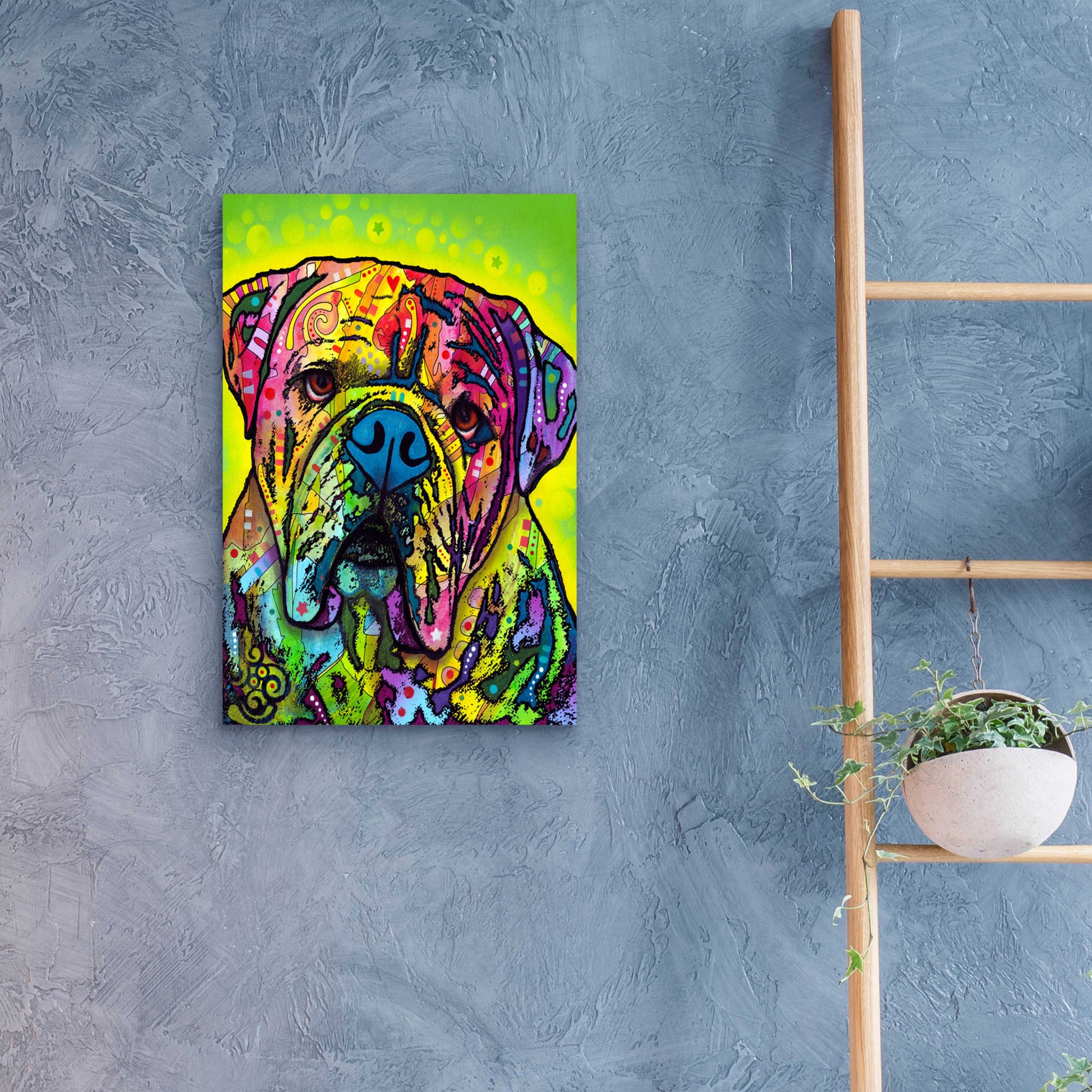 Epic Art 'Hey Bulldog' by Dean Russo, Acrylic Glass Wall Art,16x24