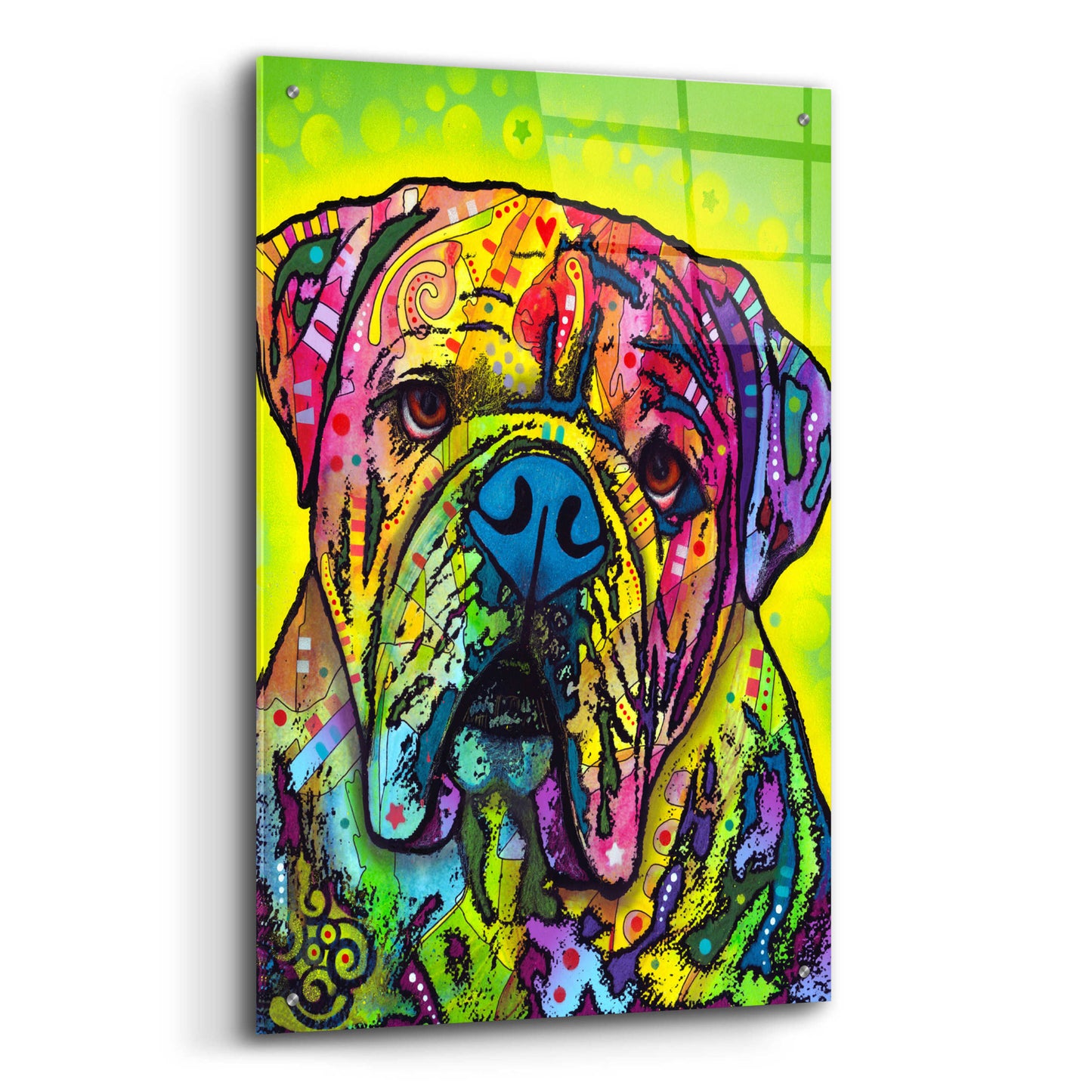 Epic Art 'Hey Bulldog' by Dean Russo, Acrylic Glass Wall Art,24x36