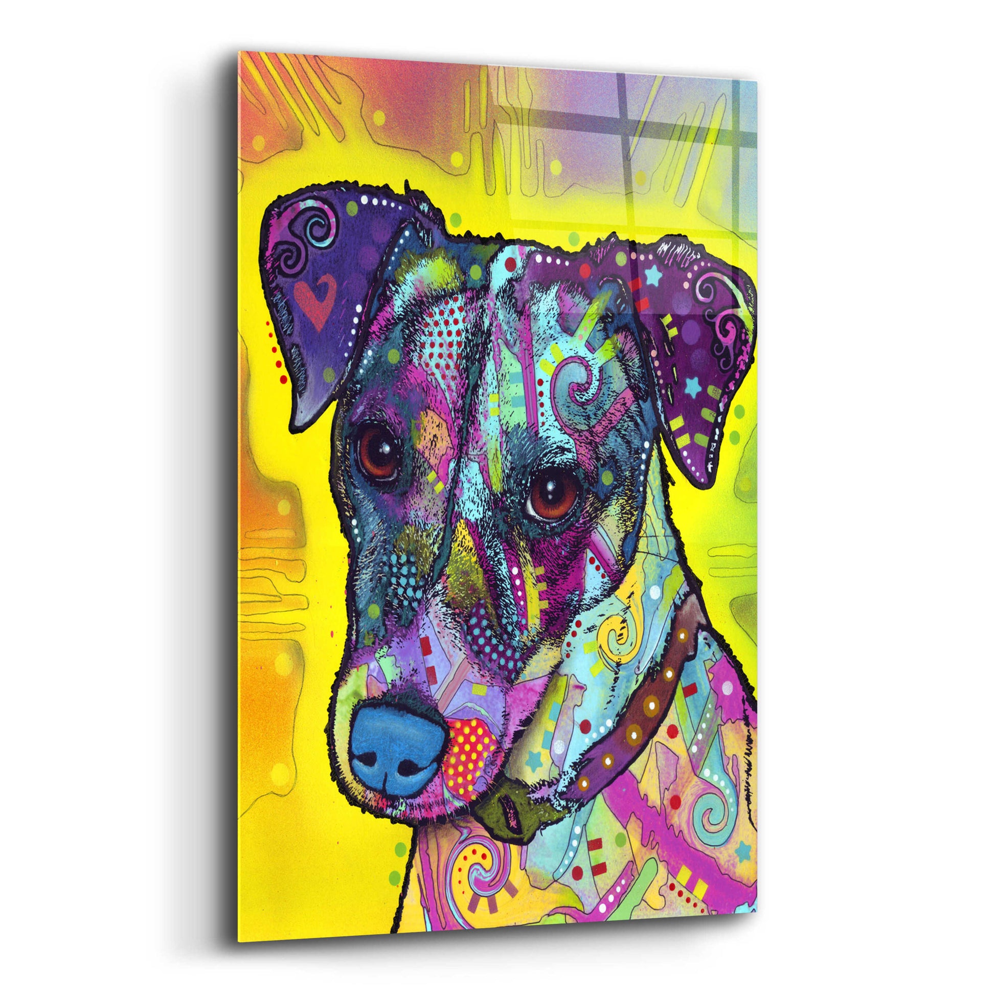 Epic Art 'Jack Russell' by Dean Russo, Acrylic Glass Wall Art,12x16