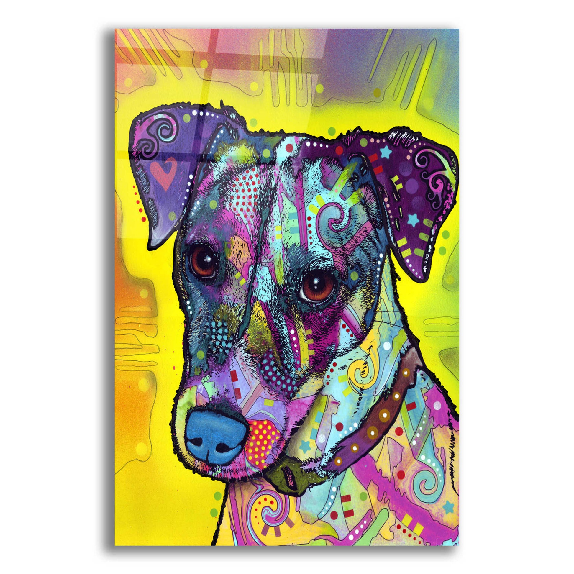 Epic Art 'Jack Russell' by Dean Russo, Acrylic Glass Wall Art,12x16