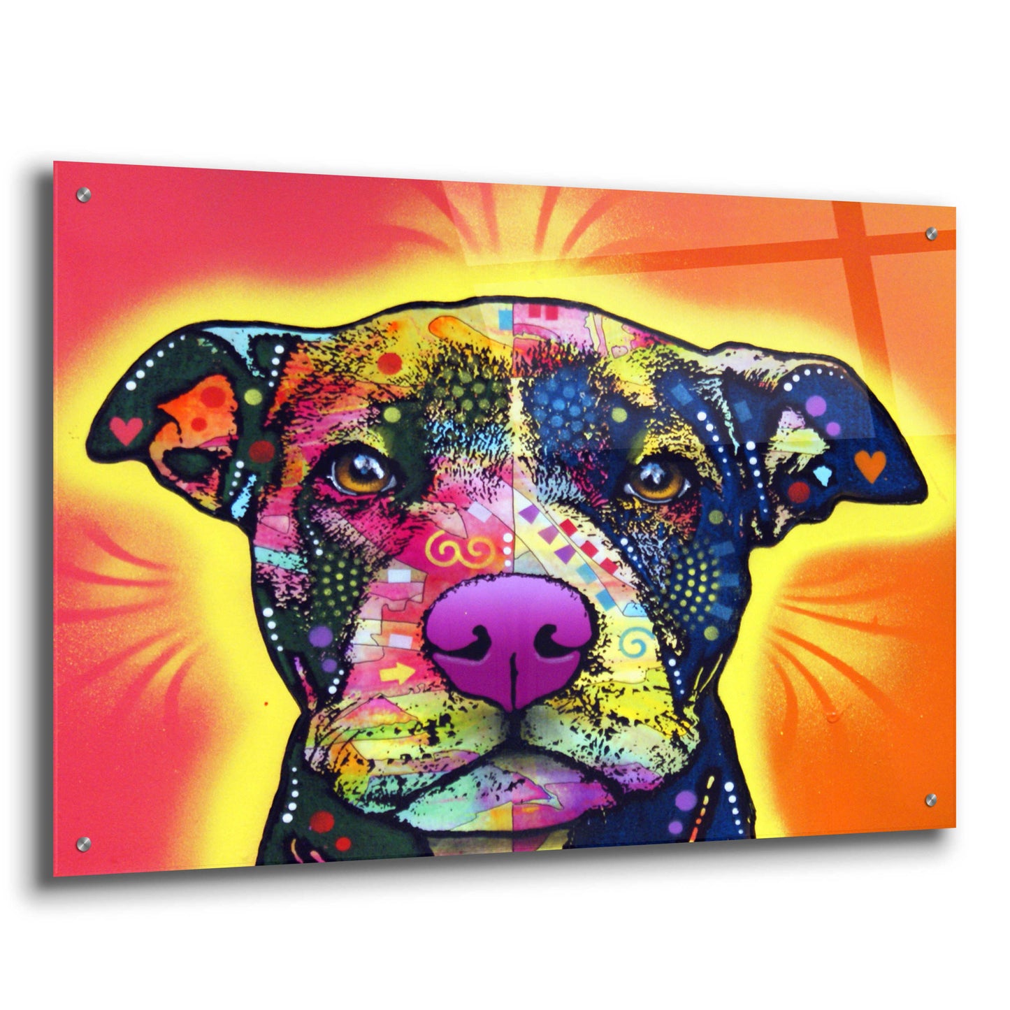 Epic Art 'Love A Bull' by Dean Russo, Acrylic Glass Wall Art,36x24