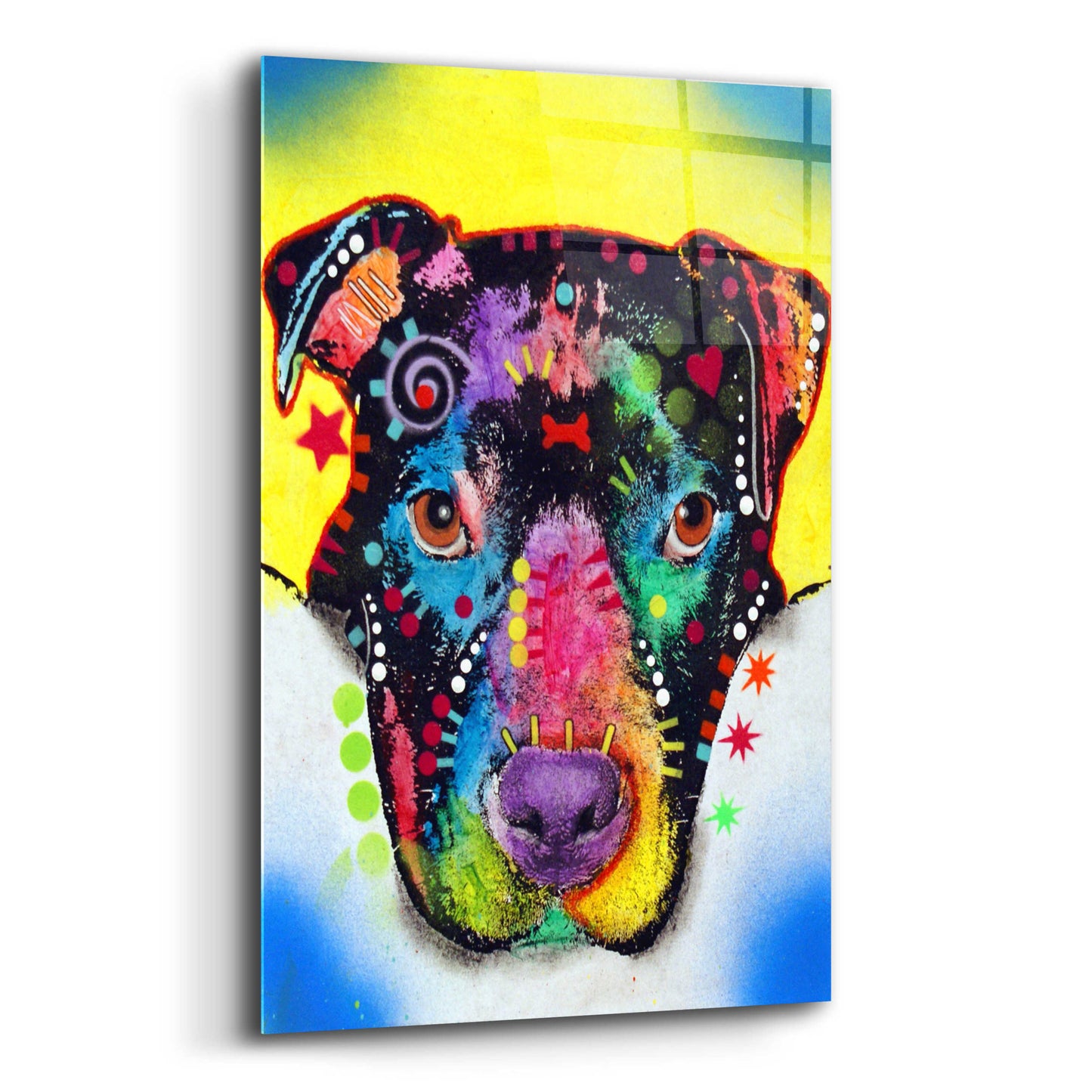 Epic Art 'Otter Pitbull' by Dean Russo, Acrylic Glass Wall Art,12x16